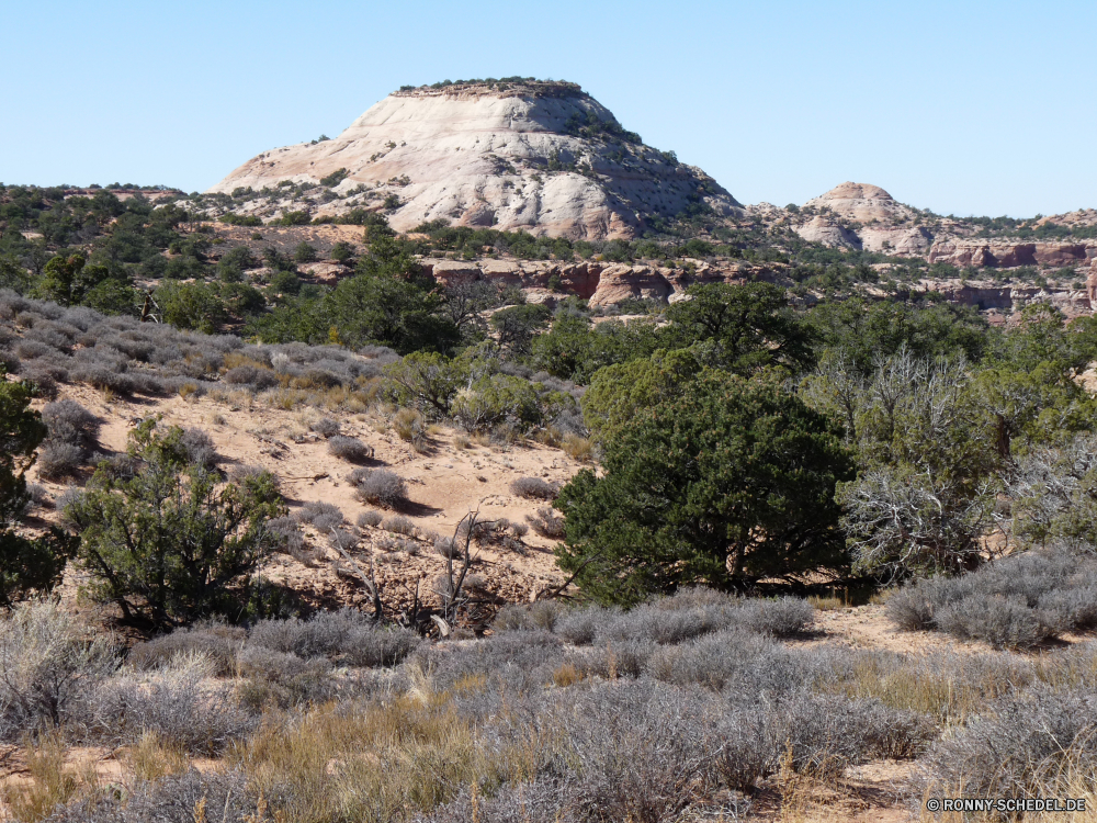 Canyonlands Island in the Sky Berg Vulkan natürliche Höhe Landschaft geologische formation Berge Himmel Knoll Reisen nationalen Fels Wildnis Bereich Tourismus im freien Hügel Spitze Tal Park Baum Szenerie landschaftlich Wüste Hochland im freien Wald Felsen Wolken Gras Panorama Sommer Fluss Umgebung Tag Wild Klippe Wasser Land Urlaub Geologie Stein Landschaften Abenteuer Szene Wolke Schlucht Sonne See Landschaft felsigen Schnee Wandern Sand natürliche Insel Hügel Bäume Entwicklung des ländlichen trocken Farbe Land majestätisch Meer Ökologie friedliche Ruhe Ozean karge Mount Wanderung Steigung Klima bewölkt Grat Herbst Urlaub vulkanische außerhalb Reise ruhige Horizont mountain volcano natural elevation landscape geological formation mountains sky knoll travel national rock wilderness range tourism outdoors hill peak valley park tree scenery scenic desert highland outdoor forest rocks clouds grass panorama summer river environment day wild cliff water land vacation geology stone scenics adventure scene cloud canyon sun lake countryside rocky snow hiking sand natural island hills trees rural dry color country majestic sea ecology peaceful calm ocean barren mount hike slope climate cloudy ridge autumn holiday volcanic outside trip tranquil horizon