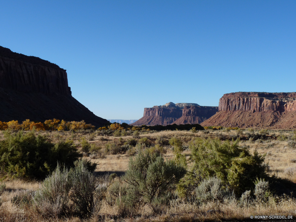 Canyonlands The Needles Schlucht Tal Schlucht Wüste Landschaft Berg Fels Park Klippe Reisen Himmel nationalen Berge natürliche depression landschaftlich Stein Tourismus im freien Wildnis Südwesten Geologie Sand Sandstein Wolken Bildung Aushöhlung im freien Baum Felsen Westen natürliche Grand trocken Spitze Urlaub Wahrzeichen geologische formation Szenerie Land Denkmal Abenteuer Hochland Orange Kaktus Mesa Fluss Bäume Aussicht Umgebung Tourist Panorama Butte Formationen geologische Arid Hügel Straße Bögen Gelände felsigen Wandern Festung Bereich Wasser friedliche Herbst Hügel Wild Wald Pflanze bunte Süden berühmte Felge Mauer Szene westliche Staaten Sommer majestätisch Reise Horizont Schnee canyon valley ravine desert landscape mountain rock park cliff travel sky national mountains natural depression scenic stone tourism outdoors wilderness southwest geology sand sandstone clouds formation erosion outdoor tree rocks west natural grand dry peak vacation landmark geological formation scenery land monument adventure highland orange cactus mesa river trees vista environment tourist panorama butte formations geological arid hill road arches terrain rocky hiking fortress range water peaceful autumn hills wild forest plant colorful south famous rim wall scene western states summer majestic journey horizon snow