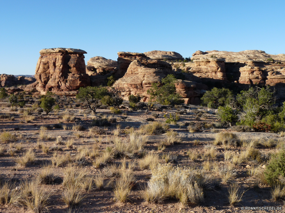 Canyonlands The Needles Fels Landschaft Schlucht Berg Klippe Wüste Reisen Park nationalen Sandstein Wildnis Stein Tal Himmel Berge Tourismus Bildung Sand natürliche Felsen Knoll landschaftlich geologische formation Geologie Bereich Aushöhlung Hügel Szenerie im freien Umgebung Sommer im freien Baum Urlaub Hochland Bereich Land Südwesten Wahrzeichen reservieren Aussicht Tourist Wild Denkmal Formationen geologische Arid Spitze Ziel trocken Bögen Fluss Gelände Wasser Reise Reise Frühling Süden Land Ehrfurcht felsigen Schlucht Westen Wandern Landschaften hoch Steine niemand Platz Touristische Hügel majestätisch in der Nähe Szene Panorama Tag Panorama Backstein Kaktus gelb Entwicklung des ländlichen Prima Klippen Wanderung Antike Wolke westliche Orange Wolken Abenteuer berühmte Grat Pflanze Geschichte Wald Gras rock landscape canyon mountain cliff desert travel park national sandstone wilderness stone valley sky mountains tourism formation sand natural rocks knoll scenic geological formation geology range erosion hill scenery outdoors environment summer outdoor tree vacation highland area land southwest landmark reserve vista tourist wild monument formations geological arid peak destination dry arches river terrain water trip journey spring south country awe rocky ravine west hiking scenics high stones nobody place touristic hills majestic near scene panoramic day panorama brick cactus yellow rural awesome cliffs hike ancient cloud western orange clouds adventure famous ridge plant history forest grass