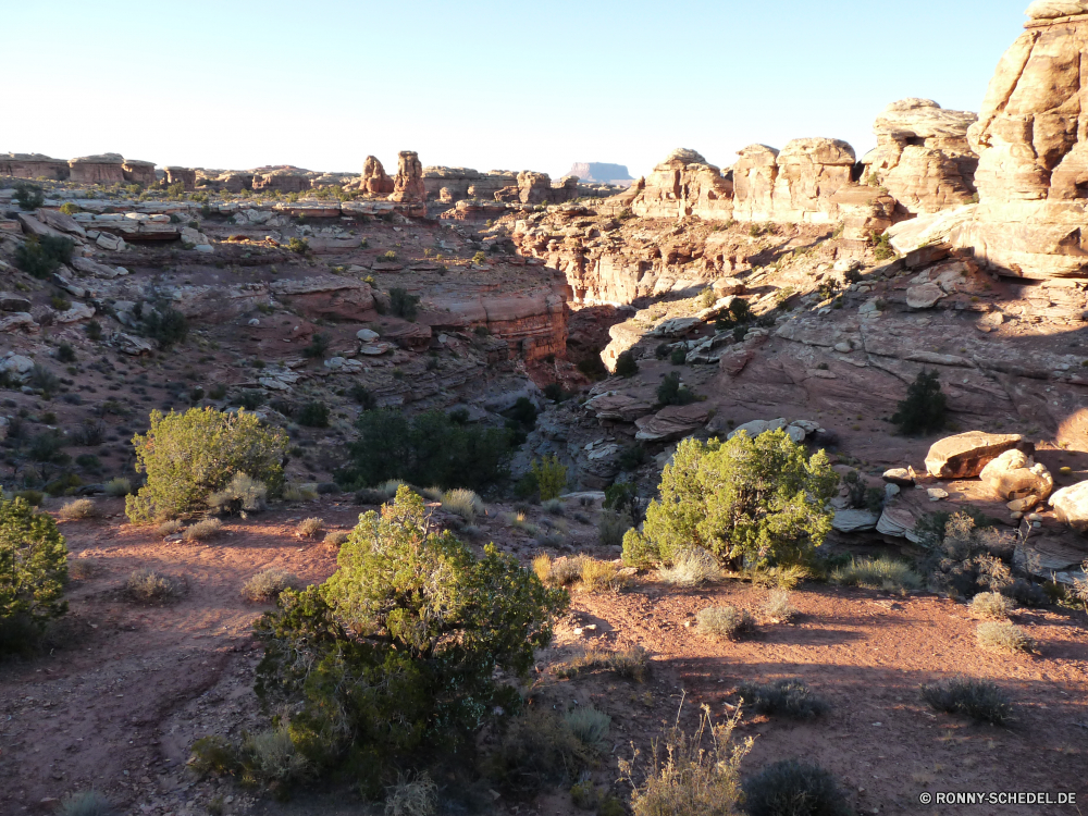 Canyonlands The Needles Schlucht Tal Schlucht Fels Landschaft Felge Wüste Park Berg nationalen Reisen Klippe Tourismus Berge Grand landschaftlich natürliche depression Aushöhlung Stein Geologie Urlaub Himmel Felsen Wolken Südwesten Sand Fluss Wandern Baum Westen geologische im freien Wahrzeichen Tourist Abenteuer Mesa Orange im freien Wunder Süden Welt Szenerie Sandstein natürliche geologische formation Bildung Wasser Wildnis Sommer Bäume Aussicht Hügel Klippen Land Hochland Antike Wolke Panorama Ziel trocken Erholung übersehen bunte Nationalpark Szene felsigen Spitze Kirche Festung Gebäude Bereich Farbe Straße Sonnenuntergang canyon valley ravine rock landscape rim desert park mountain national travel cliff tourism mountains grand scenic natural depression erosion stone geology vacation sky rocks clouds southwest sand river hiking tree west geological outdoors landmark tourist adventure mesa orange outdoor wonder south world scenery sandstone natural geological formation formation water wilderness summer trees vista hill cliffs land highland ancient cloud panorama destination dry recreation overlook colorful national park scene rocky peak church fortress building range color road sunset