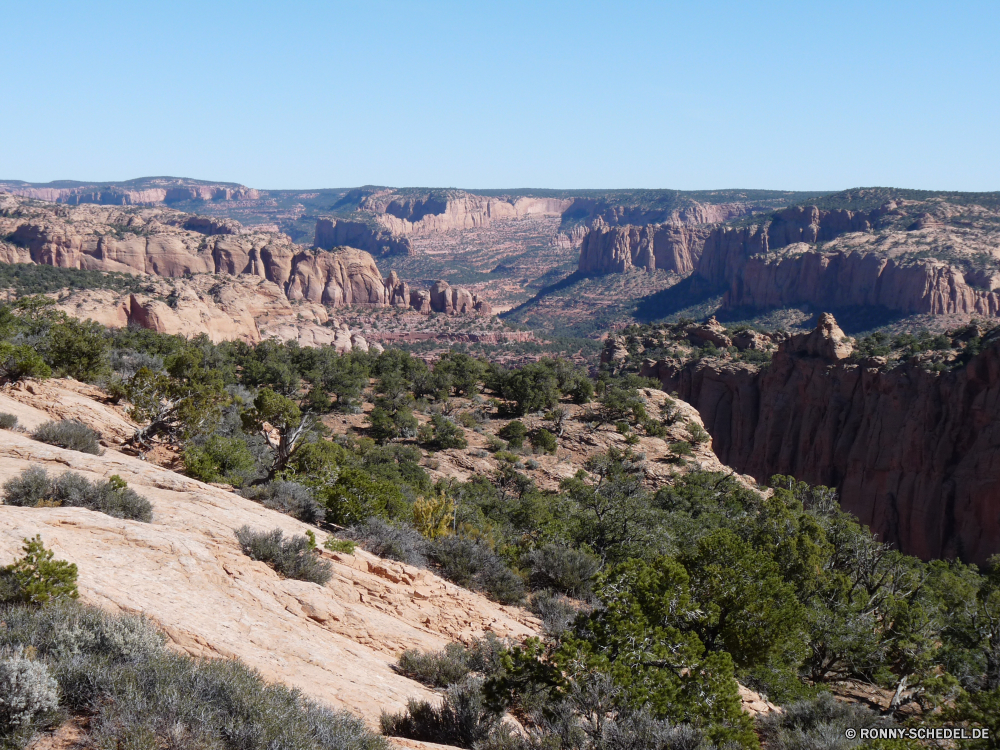 Navajo National Monument Schlucht Schlucht Tal natürliche depression Berg Berge Landschaft Park Fels Wüste nationalen Reisen Himmel Klippe Fluss Geologie Grand Felge Wolken landschaftlich Urlaub Felsen Tourismus Baum Aushöhlung Stein Wandern Sand im freien Abenteuer Wahrzeichen Westen im freien Mesa Südwesten Wunder geologische Orange Tourist Welt Süden Bäume Wildnis Hügel Aussicht Sandstein Bildung Wasser Szenerie Spitze Wald Bereich Straße felsigen Sommer Ziel Szene Panorama geologische formation bunte Nationalpark hoch Farbe Wolke trocken Land natürliche Steigung Sonne canyon ravine valley natural depression mountain mountains landscape park rock desert national travel sky cliff river geology grand rim clouds scenic vacation rocks tourism tree erosion stone hiking sand outdoor adventure landmark west outdoors mesa southwest wonder geological orange tourist world south trees wilderness hill vista sandstone formation water scenery peak forest range road rocky summer destination scene panorama geological formation colorful national park high color cloud dry land natural slope sun