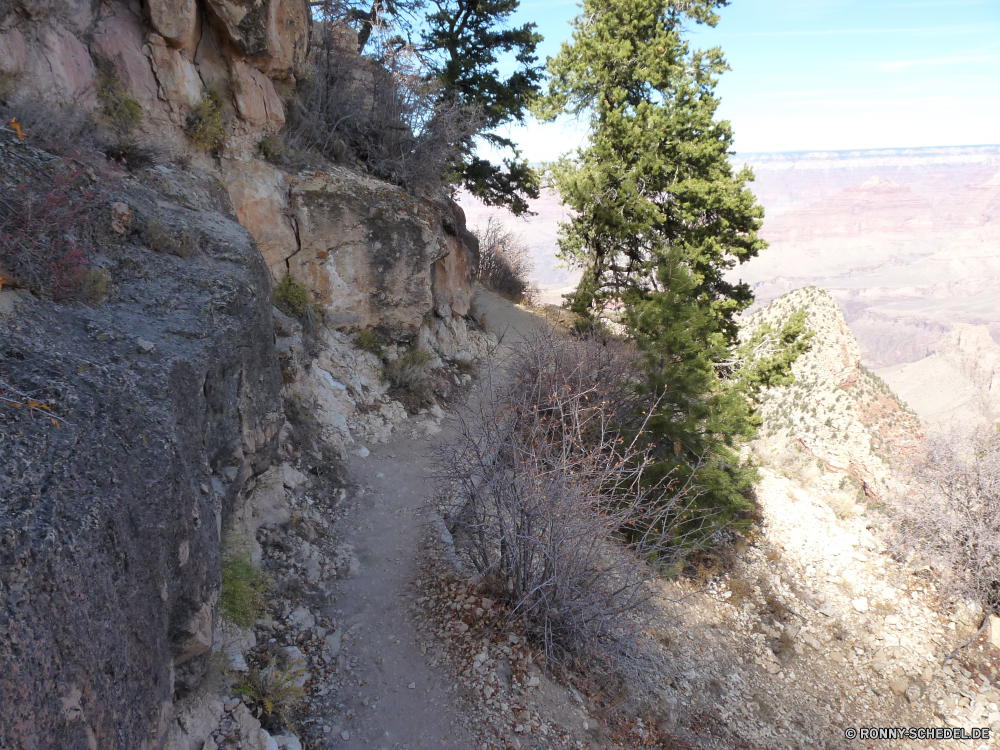 Grand Canyon National Park Baum Landschaft woody plant Wald Aufstieg Fluss Steigung Berg vascular plant Park Bäume Wasser Fels Wildnis Klippe Stein landschaftlich Pflanze im freien Himmel Reisen natürliche Herbst Hölzer Belaubung Sommer nationalen im freien Berge Kiefer Szene fallen Felsen Gras Holz Entwicklung des ländlichen Tourismus Blatt Straße Tag Saison Umgebung Blätter Schlucht Szenerie Stream Branch Frühling Sonne Tal alt Landschaft Busch Land See Insel Feld Küste geologische formation Land Wandern Braun Bereich Meer Hügel Wolken ruhige Urlaub Moos Wasserfall felsigen üppige Landschaften niemand Knoll Pfad Süden Farbe gelb Wild Creek Gelände Hügel Wolke Panorama idyllische fließende Wüste Frieden Tourist Flora tree landscape woody plant forest ascent river slope mountain vascular plant park trees water rock wilderness cliff stone scenic plant outdoor sky travel natural autumn woods foliage summer national outdoors mountains pine scene fall rocks grass wood rural tourism leaf road day season environment leaves canyon scenery stream branch spring sun valley old countryside bush land lake island field coast geological formation country hiking brown area sea hill clouds tranquil vacation moss waterfall rocky lush scenics nobody knoll path south color yellow wild creek terrain hills cloud panorama idyllic flowing desert peace tourist flora