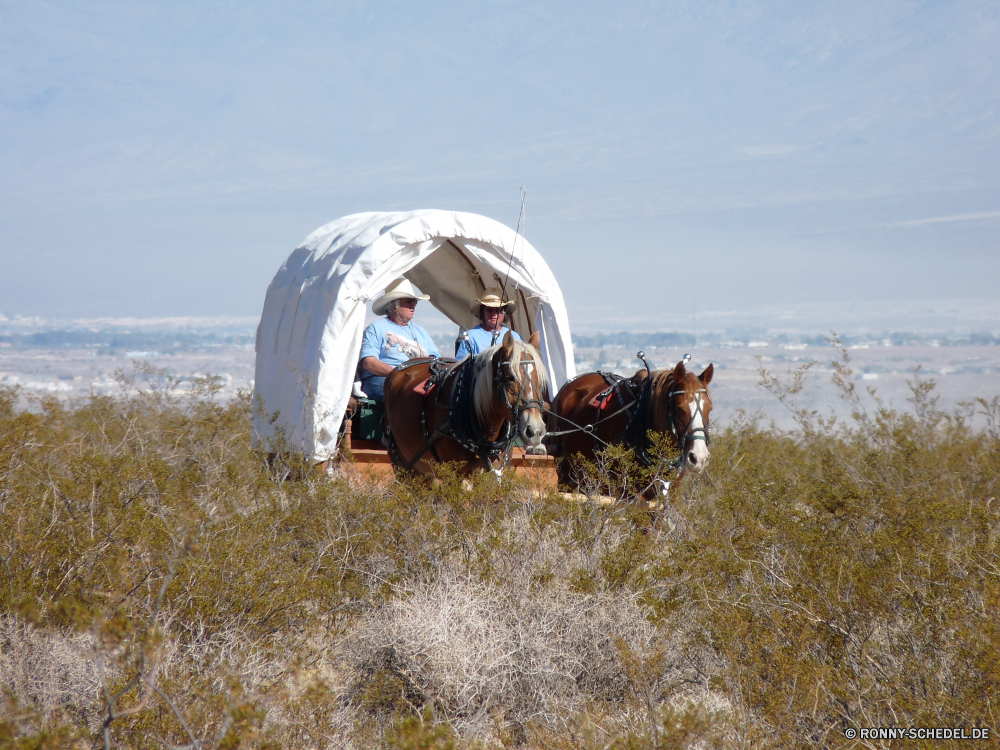 Death Valley Nationalpark Schnee Winter Rodelbahn Schlitten Fahrzeug Zelt kalt Himmel Obdach Berg Berg-Zelt Landschaft im freien Struktur Saison im freien Reisen Urlaub Eis Spaß Hütte Hövel Ausrüstung Vermittlung Wolken Hund Berge Menschen schneebedeckt Wandern Freizeit Sport Abenteuer Baum Sommer außerhalb Gras landschaftlich Wetter alt Holz Park Frost Mann Hundeartige Kugel Maschine aktive Aktivität Urlaub gefroren Gerät Müll Nach oben Tourismus am Morgen Fußball Sonne Entwicklung des ländlichen Fußball-Helm Spitze Strand Extreme spielen Freude Sport Tourist glücklich Erholung Sand Bäume saisonale Camping Meer hoch Einfrieren Helm Männer Entspannen Sie sich Entspannung Hügel traditionelle Straße Szenerie Küste Betonmischer Glück snow winter toboggan sled vehicle tent cold sky shelter mountain mountain tent landscape outdoor structure season outdoors travel holiday ice fun hut hovel equipment conveyance clouds dog mountains people snowy hiking leisure sport adventure tree summer outside grass scenic weather old wood park frost man canine ball machine active activity vacation frozen device rubbish top tourism morning soccer ball sun rural football helmet peak beach extreme play joy sports tourist happy recreation sand trees seasonal camping sea high freeze helmet men relax relaxation hill traditional road scenery coast concrete mixer happiness