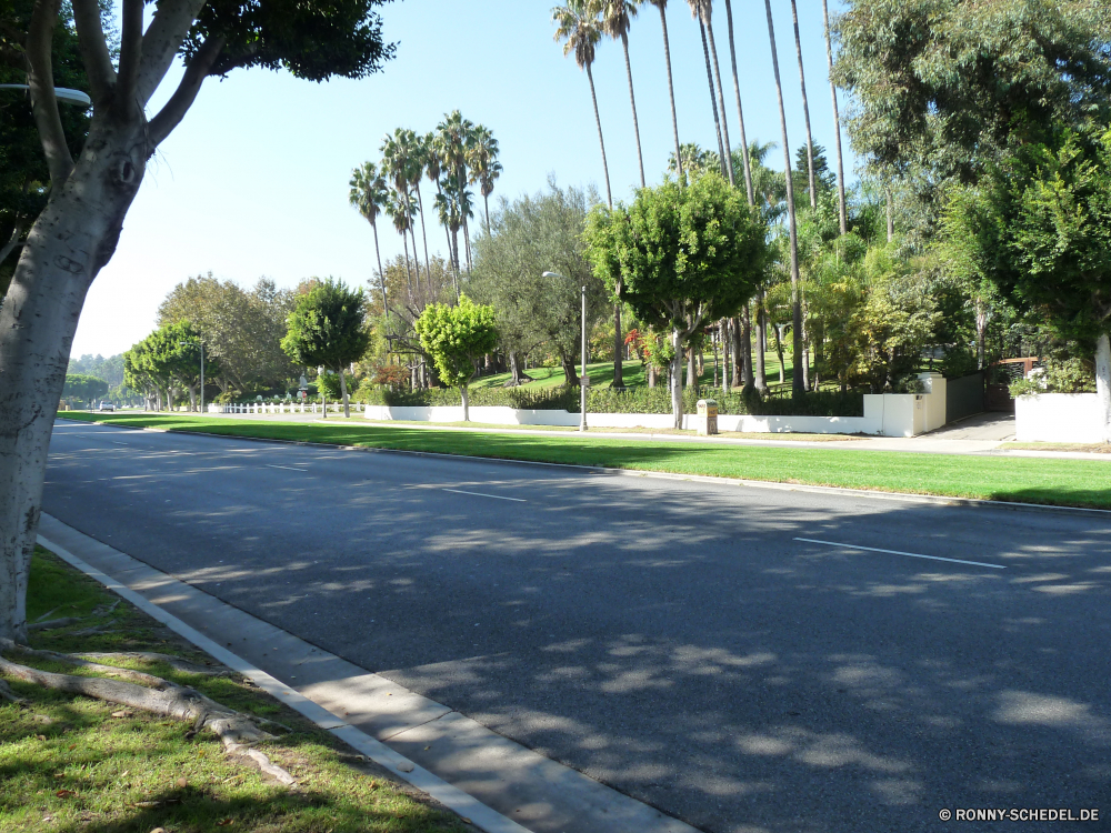 Los Angeles Kreuzung Baum Bäume Himmel Landschaft Gebäude Gras Garten Reisen Park Sommer Straße Architektur Sonnenuhr Struktur Indikator Gerät Golf Rasen Stadt Urlaub Wolken im freien Zeitmesser Kurs Tourismus Urban Straße Pfad im freien Wasser Tropischer Landschaft Entspannen Sie sich Feld Land landschaftlich Haus Urlaub Entwicklung des ländlichen Universität Laufwerk leere Messgerät friedliche Szenerie Asphalt Autobahn Wald Gebäude bunte Entspannung Umgebung Horizont Strecke Szene Frühling sonnig Luxus Sport Ziel moderne Freizeit aussenansicht Transport Flora Startseite Sand Bau außerhalb Schwimmbad Planetarium Schwimmen Resort Hotel Backstein bewölkt Palm Pflanze Flag Farbe Wiese Erholung Tag Schule intersection tree trees sky landscape building grass garden travel park summer road architecture sundial structure indicator device golf lawn city vacation clouds outdoors timepiece course tourism urban street path outdoor water tropical countryside relax field country scenic house holiday rural university drive empty measuring instrument peaceful scenery asphalt highway forest buildings colorful relaxation environment horizon route scene spring sunny luxury sport destination modern leisure exterior transportation flora home sand construction outside pool planetarium swimming resort hotel brick cloudy palm plant flag color meadow recreation day school