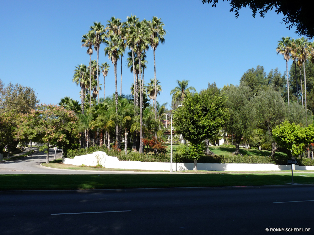 Los Angeles Baum Kreuzung Straße Himmel Landschaft Bäume Gras Sommer woody plant Golf Reisen Wolken im freien Asphalt Entwicklung des ländlichen Feld Land Kurs Szenerie Laufwerk landschaftlich Landschaft Autobahn Park vascular plant Auto Wald Straße Pflanze leere im freien Horizont Tourismus Szene Wolke Autobahn Transport Reise Strecke Urlaub Perspektive Berge Tag Wiese fahren Sand sonnig Geschwindigkeit friedliche Biegung Wasser Sonne Pfad Reise Rasen Garten Palm Linie Bewegung Tropischer Frühling Flag bunte Gebäude Loch Sport außerhalb Ziel Strand Stadt Verkehr Urban Felder Urlaub Meer Verkehr idyllische Hügel Haus Farbe Zeichen Umgebung Erholung natürliche Universität Landwirtschaft Fahrzeug Auto Verschieben Art und Weise Urlaub schnell Insel Architektur Berg Saison Kurve tree intersection road sky landscape trees grass summer woody plant golf travel clouds outdoor asphalt rural field country course scenery drive scenic countryside highway park vascular plant car forest street plant empty outdoors horizon tourism scene cloud freeway transportation journey route vacation perspective mountains day meadow driving sand sunny speed peaceful bend water sun path trip lawn garden palm line motion tropical spring flag colorful building hole sport outside destination beach city transport urban fields holiday sea traffic idyllic hill house color sign environment recreation natural university agriculture vehicle auto moving way vacations fast island architecture mountain season curve