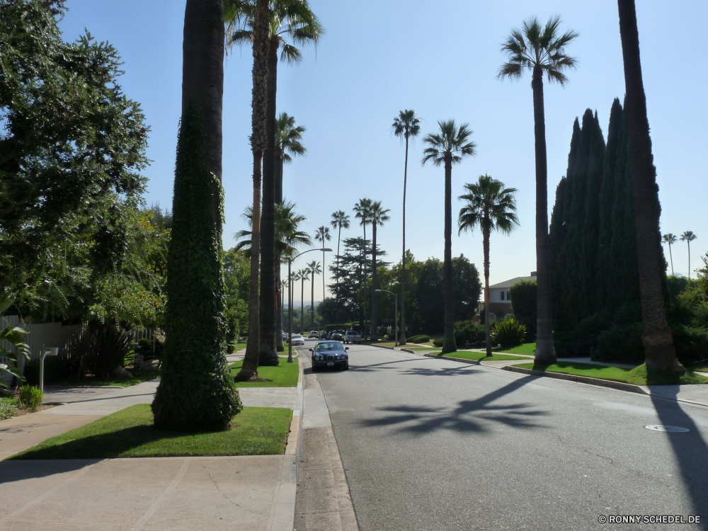 Los Angeles Baum Obelisk Spalte Struktur Himmel Bäume Park Landschaft Reisen Sommer im freien Architektur Stadt woody plant Gras Straße Palm Tourismus Garten Pflanze Gebäude Frühling im freien Statue Szene vascular plant Pfad Tropischer Wolken Urlaub Land Straße Rasen Friedhof Stein Urlaub Entwicklung des ländlichen Urban Wasser Süden Stadt Tag Strand Entspannen Sie sich Feld Urlaub Ziel Denkmal Belaubung natürliche ruhige Bürgersteig Szenerie Umgebung Wanderweg Gehweg Wald Resort Gebäude Gedenkstätte Haus Entspannung Landschaft alt Wahrzeichen Sonnenlicht Farbe Sonne Blätter Sand sonnig zu Fuß außerhalb Perspektive Blume Ozean Schatten landschaftlich Spur Hölzer Holz berühmte aussenansicht historischen friedliche Turm Meer Saison tree obelisk column structure sky trees park landscape travel summer outdoors architecture city woody plant grass road palm tourism garden plant building spring outdoor statue scene vascular plant path tropical clouds vacation country street lawn cemetery stone holiday rural urban water south town day beach relax field vacations destination monument foliage natural tranquil sidewalk scenery environment footpath walkway forest resort buildings memorial house relaxation countryside old landmark sunlight color sun leaves sand sunny walk outside perspective flower ocean shadow scenic lane woods wood famous exterior historic peaceful tower sea season