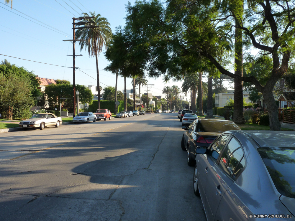 Los Angeles Straße Bürgersteig Kreuzung Autobahn Asphalt Auto Reisen Landschaft Himmel Transport Laufwerk Straße Verkehr Entwicklung des ländlichen Linie landschaftlich Reise Reise Geschwindigkeit Land Verkehr Horizont leere Biegung Bäume Strecke Baum fahren Schnellstraße im freien Autobahn Spur Berge Kurve Richtung Art und Weise Perspektive Wolke Szenerie Bewegung Wolken Landschaft Auto Sommer Ziel Berg Stadt Wald Fahrzeug Auto schnell Szene Asphalt Autos Verschieben Urlaub Bewegung im freien Hügel Gras Tourismus Urban Gebäude Feld Park Autobahn Pflaster Zeichen lange Wiese voran Biegen Sie Reisen hoch Tag sonnig Land Freiheit Umgebung Speedway Fahrbahn Architektur außerhalb Gebäude Pfad Wüste niemand road sidewalk intersection highway asphalt car travel landscape sky transportation drive street traffic rural line scenic trip journey speed country transport horizon empty bend trees route tree driving expressway outdoors freeway lane mountains curve direction way perspective cloud scenery motion clouds countryside auto summer destination mountain city forest vehicle automobile fast scene tarmac cars moving vacation movement outdoor hill grass tourism urban building field park motorway pavement sign long meadow ahead turn traveling high day sunny land freedom environment speedway roadway architecture outside buildings path desert nobody