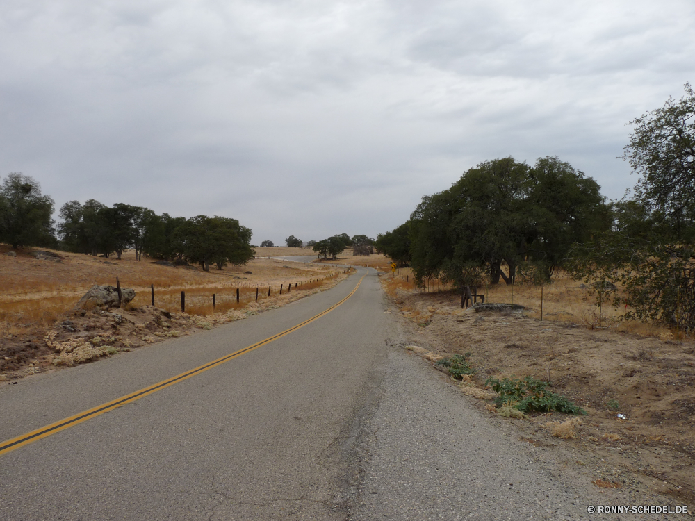 Fahrt nach Mariposa Straße Landschaft Himmel Entwicklung des ländlichen Track Autobahn Reisen Wolken Asphalt Reling Land Transport Reise Sommer Horizont landschaftlich Wolke Landschaft Art und Weise Küstenlinie Feld Gras Reise Verkehr Wüste Baum leere Berg Mauer Strecke Wald Szenerie Laufwerk Biegung Aufstieg Berge Barrier Bäume Land Autobahn Sand Linie Wasser Auto Urlaub im freien Perspektive Steigung Straße fahren Park Verkehr Tag sonnig bewölkt Strand Meer Geschwindigkeit Ozean Bauernhof Kurve Verschieben Szene Richtung Hügel Pflanze Wellenbrecher lange Wetter Umgebung Küste Landwirtschaft Tal natürliche Wolkengebilde im freien Pfad Ziel Obstruktion Fahrzeug An Kanal Hügel Bewegung Auto Insel Schnellstraße Sonne Farbe Herbst road landscape sky rural track highway travel clouds asphalt railing country transportation journey summer horizon scenic cloud countryside way shoreline field grass trip transport desert tree empty mountain wall route forest scenery drive bend ascent mountains barrier trees land freeway sand line water car vacation outdoor perspective slope street driving park traffic day sunny cloudy beach sea speed ocean farm curve moving scene direction hill plant breakwater long weather environment coast agriculture valley natural cloudscape outdoors path destination obstruction vehicle to channel hills motion auto island expressway sun color autumn