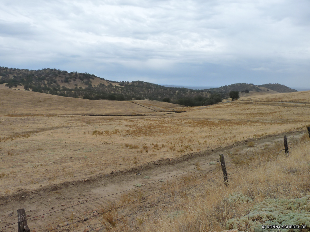 Fahrt nach Mariposa Hochland Steppe Reiner Land Landschaft Himmel Berg Berge Wald Feld Gras Baum Hügel Park Wüste Reisen Tal Horizont Wolken Sommer Fluss Szenerie landschaftlich Bereich Entwicklung des ländlichen Umgebung Wasser Landschaft Wiese Land im freien Hügel Fels trocken Szene Wolke nationalen Sand Herbst Wildnis Gelände Bauernhof Bereich sonnig Spitze im freien Pflanzen Schnee Bäume Frühling Pflanze Sonne Panorama Farbe Saison Stein See Tourismus Straße Landwirtschaft Tag Abenteuer Landbau Urlaub fallen natürliche gelb Düne Wild Ackerland Felder Busch Strand Felsen Belaubung friedliche am Morgen highland steppe plain land landscape sky mountain mountains forest field grass tree hill park desert travel valley horizon clouds summer river scenery scenic range rural environment water countryside meadow country outdoor hills rock dry scene cloud national sand autumn wilderness terrain farm area sunny peak outdoors plants snow trees spring plant sun panorama color season stone lake tourism road agriculture day adventure farming vacation fall natural yellow dune wild farmland fields bush beach rocks foliage peaceful morning