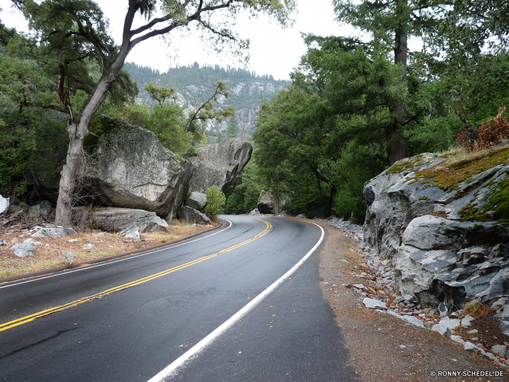 Yosemite Nationalpark Biegung Straße Baum Landschaft Wald Bäume Entwicklung des ländlichen landschaftlich Berg Reisen Park Sommer Asphalt Szenerie Himmel Land Berge Gras Laufwerk Autobahn Aufstieg Landschaft Perspektive woody plant im freien Umgebung Belaubung Steigung Fluss Pflanze Hölzer Transport Pfad im freien Art und Weise Wasser Fels Straße Spur fahren Reise Szene leere Strecke Wandern natürliche Blatt Bürgersteig Stein durch vascular plant Tourismus Herbst Linie Frühling Holz Urlaub friedliche Saison fallen Kurve Sonne Reise Mauer Garten sonnig Tag Wolken Geschwindigkeit Pflaster Felder üppige Blätter Tal Auto Verschieben Stream Wildnis Ziel schnell Pflanzen Verkehr Horizont Sonnenlicht Asphalt Landwirtschaft Kiefer Bewegung alt Auto gelb Gehweg Wild Schlucht außerhalb Richtung Verkehr gelassene Süden Land ruhige bend road tree landscape forest trees rural scenic mountain travel park summer asphalt scenery sky country mountains grass drive highway ascent countryside perspective woody plant outdoors environment foliage slope river plant woods transportation path outdoor way water rock street lane driving journey scene empty route hiking natural leaf sidewalk stone through vascular plant tourism autumn line spring wood vacation peaceful season fall curve sun trip wall garden sunny day clouds speed pavement fields lush leaves valley auto moving stream wilderness destination fast plants transport horizon sunlight tarmac agriculture pine motion old car yellow walkway wild canyon outside direction traffic serene south land tranquil