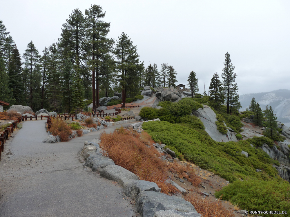 Yosemite Nationalpark Hochland Landschaft Berg Baum Wald Berge Park Bäume Fluss Kiefer Reisen Himmel Fels Tanne Schnee Tal Wasser Hölzer Gras Steinmauer im freien landschaftlich im freien Wildnis Sommer Zaun Szenerie Entwicklung des ländlichen Tourismus Spitze Stein Felsen Frühling Umgebung nationalen Wolken Stream natürliche Bereich ruhig Saison Barrier Hügel sonnig Ruhe Landschaft Straße Wandern Land Pfad kalt Steigung woody plant felsigen Herbst Wild Winter Pflanze Belaubung Tourist friedliche fallen Alpen Alpine Wolke Holz See Mauer Klippe Creek Wanderung Wanderweg hoch Landschaften Panorama Fuß Urlaub Feld Obstruktion Frieden Urlaub Szene Wasserfall vascular plant gelassene Schlucht Wiese Erholung Aufstieg highland landscape mountain tree forest mountains park trees river pine travel sky rock fir snow valley water woods grass stone wall outdoors scenic outdoor wilderness summer fence scenery rural tourism peak stone rocks spring environment national clouds stream natural range quiet season barrier hill sunny calm countryside road hiking country path cold slope woody plant rocky autumn wild winter plant foliage tourist peaceful fall alps alpine cloud wood lake wall cliff creek hike trail high scenics panorama walking vacations field obstruction peace vacation scene waterfall vascular plant serene canyon meadow recreation ascent