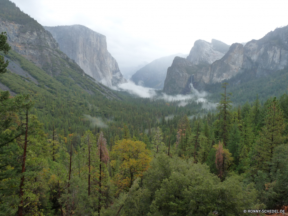 Yosemite Nationalpark Bereich Berg Landschaft Berge Tal Schnee Himmel Wildnis Reisen Baum Wald Fels Park Fluss nationalen Spitze Bäume Tourismus im freien hoch im freien Szenerie See Wolken Wolke Alp Hochland Wasser Sommer Hügel Stein landschaftlich Gras Alpen Gletscher Panorama Alpine Hügel Wandern Umgebung fallen felsigen Schlucht Herbst Urlaub woody plant Steigung Pappel Tag vascular plant natürliche Wild geologische formation sonnig Kiefer friedliche Spitzen Wiese Wanderung Klippe Pflanze Frühling Horizont Reflexion übergeben Land Schlucht natürliche Höhe Szene Stream Felsen Winter Landschaft Straße Entwicklung des ländlichen Mount Hölzer Landschaften außerhalb Feld Holz Nach oben Ruhe Tourist Land Grat Nationalpark Wandern Landschaften Farbe Busch Tanne ruhige am Morgen Urlaub Aufstieg Saison range mountain landscape mountains valley snow sky wilderness travel tree forest rock park river national peak trees tourism outdoor high outdoors scenery lake clouds cloud alp highland water summer hill stone scenic grass alps glacier panorama alpine hills hiking environment fall rocky canyon autumn vacation woody plant slope poplar day vascular plant natural wild geological formation sunny pine peaceful peaks meadow hike cliff plant spring horizon reflection pass country ravine natural elevation scene stream rocks winter countryside road rural mount woods scenics outside field wood top calm tourist land ridge national park trekking landscapes color bush fir tranquil morning holiday ascent season