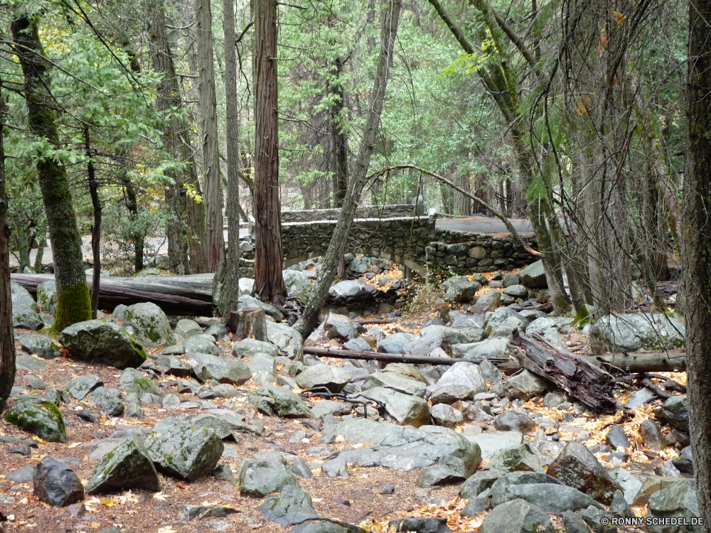 Yosemite Nationalpark Baum Wald Steinmauer Zaun Wildnis Landschaft Bäume Fluss Barrier Park woody plant Wasser im freien Umgebung Berg Holz Stein Belaubung Pflanze Obstruktion Stream Fels natürliche Gras vascular plant Hölzer Reisen im freien Kiefer friedliche Sommer Pfad Berge Mauer Frühling Wild Saison landschaftlich ruhige Blatt Szenerie Entwicklung des ländlichen Wanderweg Kofferraum üppige Straße Flora Wasserfall Wandern Herbst Blätter Szene Felsen Tag Struktur fallen nass Creek Sonnenlicht Sonne Bewuchs Busch sonnig gelassene See Frieden Branch Moos Dschungel zu Fuß Pflanzen Ruhe Birke felsigen alt Fuß idyllische fließende Strömung Landschaft nationalen Schatten Land Wachstum Land tree forest stone wall fence wilderness landscape trees river barrier park woody plant water outdoor environment mountain wood stone foliage plant obstruction stream rock natural grass vascular plant woods travel outdoors pine peaceful summer path mountains wall spring wild season scenic tranquil leaf scenery rural trail trunk lush road flora waterfall hiking autumn leaves scene rocks day structure fall wet creek sunlight sun vegetation bush sunny serene lake peace branch moss jungle walk plants calm birch rocky old walking idyllic flowing flow countryside national shadow land growth country