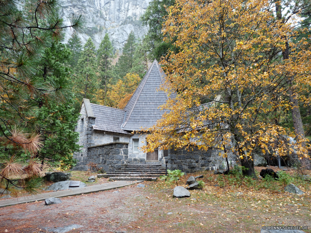 Yosemite Nationalpark Baum Herbst fallen Park woody plant Landschaft Wald Garten Bäume Blätter gelb Belaubung Saison Blatt vascular plant Gras Orange Szenerie landschaftlich im freien Pflanze Zaun Branch Mauer Pfad im freien bunte Strauch Golden Farben Wasser Hölzer Forsythie natürliche friedliche Haus saisonale Umgebung Reisen Szene Jahreszeiten Fluss Gebäude Himmel Ahorn Farbe Entwicklung des ländlichen Landschaft Straße Flora Struktur alt Frühling Holz Architektur See ruhige Zweige Wandern Barrier Braun Tag Licht Berg Land hell Bereich Frieden Tourismus Stein Startseite Busch außerhalb gelassene Perspektive Sommer Sonnenlicht Sitzbank sonnig üppige Feld Wetter Sonne Obstruktion tree autumn fall park woody plant landscape forest garden trees leaves yellow foliage season leaf vascular plant grass orange scenery scenic outdoors plant fence branch wall path outdoor colorful shrub golden colors water woods forsythia natural peaceful house seasonal environment travel scene seasons river building sky maple color rural countryside road flora structure old spring wood architecture lake tranquil branches hiking barrier brown day light mountain country bright area peace tourism stone home bush outside serene perspective summer sunlight bench sunny lush field weather sun obstruction