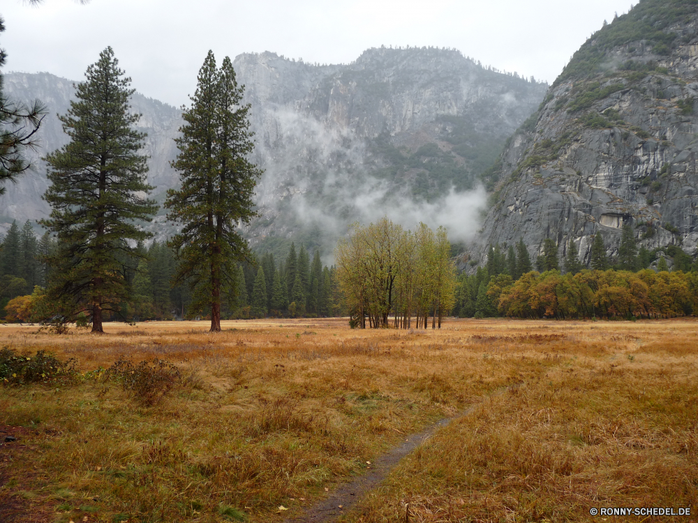 Yosemite Nationalpark Wald Baum Landschaft Park Bäume Berg Herbst Himmel Hochland Gras Berge landschaftlich Reisen Szenerie Entwicklung des ländlichen Wildnis fallen Wiese Sommer Fluss im freien Feld nationalen Land Holz im freien Frühling Aufstieg See Bereich Steigung Kiefer Sonne Saison Wasser Umgebung sonnig Schnee Hölzer Wolken Pfad natürliche Landschaft Szene woody plant friedliche Straße Pflanze Wolke Branch Land Tourismus Hügel am Morgen Wanderweg Wandern Reflexion Tag vascular plant Blatt Alpine Licht Tal Blätter hoch kalt bewölkt Knoll gelb Spitze Nebel Belaubung Ökologie Wetter Horizont Flora Neu Track Hügel Panorama Winter Orange Tanne Wild Aussicht felsigen Ruhe ruhige Erholung Bauernhof forest tree landscape park trees mountain autumn sky highland grass mountains scenic travel scenery rural wilderness fall meadow summer river outdoors field national country wood outdoor spring ascent lake range slope pine sun season water environment sunny snow woods clouds path natural countryside scene woody plant peaceful road plant cloud branch land tourism hill morning trail hiking reflection day vascular plant leaf alpine light valley leaves high cold cloudy knoll yellow peak fog foliage ecology weather horizon flora new track mound panorama winter orange fir wild vista rocky calm tranquil recreation farm