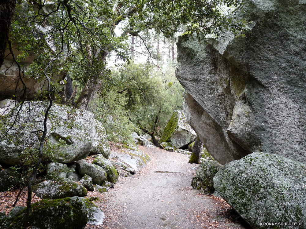 Yosemite Nationalpark Baum Wald Fluss Landschaft woody plant Berg Wasser Stein Fels Stream vascular plant Park Bäume im freien Wasserfall fallen natürliche Umgebung Steinmauer landschaftlich Frühling im freien Blätter Moos Szenerie Creek Pflanze Belaubung Herbst Hölzer Zaun Felsen Reisen Berge Blatt Sommer Entwicklung des ländlichen Wild Wildnis fließende Barrier nass Gras Holz frische Luft Saison Farben Strömung Szene üppige Wandern friedliche Landschaft Tag frisch Land Tourismus bunte Bewegung See Struktur platsch kalt Kanal Obstruktion Garten Drop Kaskade felsigen alt Pfad gelassene Ökologie Frieden ruhige rasche Sonne southern beech Eiche Reinigen nationalen Straße Schlucht cork tree Land Busch gelb sonnig idyllische Megalith Himmel Branch klar durch Zweige Bewuchs Brücke Landschaften Abenteuer Steine Körper des Wassers Urlaub Braun Tourist Flora Mauer tree forest river landscape woody plant mountain water stone rock stream vascular plant park trees outdoor waterfall fall natural environment stone wall scenic spring outdoors leaves moss scenery creek plant foliage autumn woods fence rocks travel mountains leaf summer rural wild wilderness flowing barrier wet grass wood freshness season colors flow scene lush hiking peaceful countryside day fresh land tourism colorful motion lake structure splash cold channel obstruction garden drop cascade rocky old path serene ecology peace tranquil rapid sun southern beech oak clean national road canyon cork tree country bush yellow sunny idyllic megalith sky branch clear through branches vegetation bridge scenics adventure stones body of water vacation brown tourist flora wall