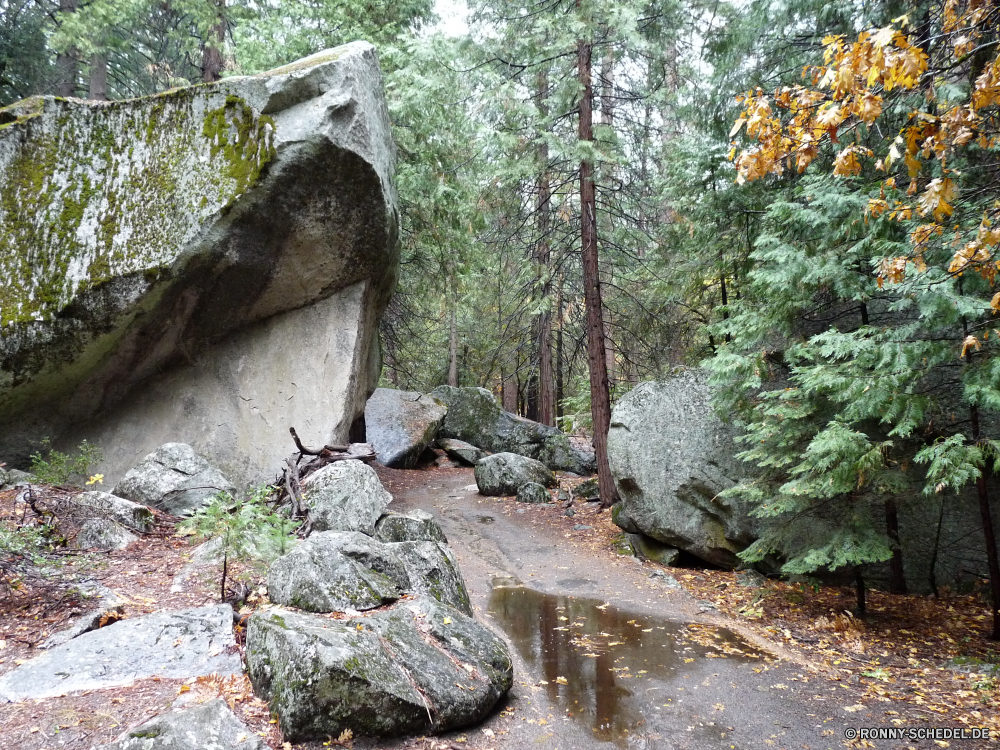 Yosemite Nationalpark Baum woody plant Fluss Wald Landschaft vascular plant Wasser Berg Fels Stream Stein Bonsai Park Wasserfall im freien fallen im freien Bäume natürliche Herbst Creek Reisen Umgebung Pflanze Moos landschaftlich Szenerie Hölzer Berge Frühling Felsen Wildnis Blätter Wandern Belaubung Wild Baumstumpf Sommer Blatt nass Gras Saison Kiefer Steinmauer fließende Schlucht Farben Brücke See nationalen Kaskade Holz frische Luft üppige idyllische Szene Bewegung Strömung friedliche Frieden ruhige Entwicklung des ländlichen Zaun frisch Himmel Landschaft Reinigen Drop gelb felsigen gelassene platsch Ruhe Tourismus rasche Land klar Garten kalt bunte außerhalb Steine Hügel alt Barrier Branch entspannende Urlaub Sonnenlicht Felsblock steilen Kofferraum Landschaften Ökologie Flora Tag niemand tree woody plant river forest landscape vascular plant water mountain rock stream stone bonsai park waterfall outdoor fall outdoors trees natural autumn creek travel environment plant moss scenic scenery woods mountains spring rocks wilderness leaves hiking foliage wild snag summer leaf wet grass season pine stone wall flowing canyon colors bridge lake national cascade wood freshness lush idyllic scene motion flow peaceful peace tranquil rural fence fresh sky countryside clean drop yellow rocky serene splash calm tourism rapid country clear garden cold colorful outside stones hill old barrier branch relaxing vacation sunlight boulder steep trunk scenics ecology flora day nobody