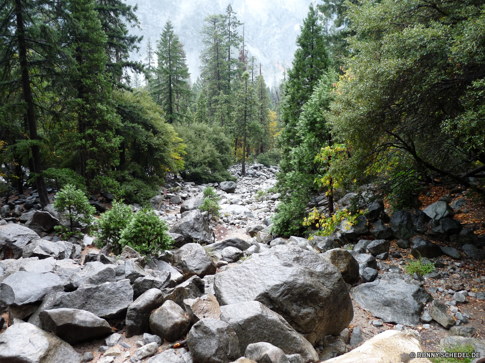 Yosemite Nationalpark Steinmauer Fluss Wald Landschaft Berg Baum Zaun Wasser Fels Stein Berge Wildnis Stream Barrier Park im freien Bäume Reisen landschaftlich Felsen natürliche Obstruktion Belaubung Frühling Creek Sommer Hölzer Umgebung im freien Kiefer Wasserfall Gras Strömung Wild fallen Szenerie fließende Moos Herbst Tag nass Entwicklung des ländlichen Tourismus Tal friedliche woody plant Mauer Saison Blätter Pflanze Land felsigen üppige Garten platsch nationalen Reinigen frische Luft Himmel Steine Bewegung Struktur Kaskade frisch gelassene Hügel Tanne Ruhe Landschaft Aufstieg Land Wandern hoch Schlucht Schlucht sonnig Pfad vascular plant Steigung Ökologie See ruhige Flora Sonnenlicht Sonne Gelände klar Szene bunte Wolken Holz Schnee Frieden Urlaub Tourist Straße Erholung Farben Bach Wanderweg Spitze Busch Abenteuer Reise Insel stone wall river forest landscape mountain tree fence water rock stone mountains wilderness stream barrier park outdoor trees travel scenic rocks natural obstruction foliage spring creek summer woods environment outdoors pine waterfall grass flow wild fall scenery flowing moss autumn day wet rural tourism valley peaceful woody plant wall season leaves plant land rocky lush garden splash national clean freshness sky stones motion structure cascade fresh serene hill fir calm countryside ascent country hiking high ravine canyon sunny path vascular plant slope ecology lake tranquil flora sunlight sun terrain clear scene colorful clouds wood snow peace vacation tourist road recreation colors brook trail peak bush adventure journey island