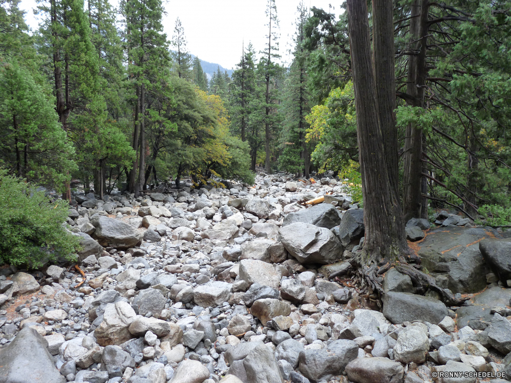 Yosemite Nationalpark Wald Baum Landschaft Kiefer Fluss Wildnis Berg Bäume Park Wasser Mauer im freien Fels Stein Umgebung Stream Berge Belaubung Steinmauer Hölzer natürliche Reisen Holz im freien landschaftlich Pfad Zaun Pflanze Sommer Herbst Gras Entwicklung des ländlichen Frühling Wild Creek friedliche woody plant Barrier Straße Wandern Saison Blätter Schnee Szenerie Wanderweg felsigen üppige Felsen ruhige fallen Wasserfall Tourismus Aufstieg Blatt Land Himmel Ruhe Frieden nationalen Wanderung Sonne Busch vascular plant Obstruktion Branch nass Moos Steigung Land Tal Brücke Kofferraum ruhig kalt zu Fuß Fuß frisch fließende Tanne Reinigen Wanderweg durch gelassene Hügel Strömung Landschaft Bereich Tag Farben Schlucht forest tree landscape pine river wilderness mountain trees park water wall outdoor rock stone environment stream mountains foliage stone wall woods natural travel wood outdoors scenic path fence plant summer autumn grass rural spring wild creek peaceful woody plant barrier road hiking season leaves snow scenery trail rocky lush rocks tranquil fall waterfall tourism ascent leaf land sky calm peace national hike sun bush vascular plant obstruction branch wet moss slope country valley bridge trunk quiet cold walk walking fresh flowing fir clean footpath through serene hill flow countryside area day colors canyon