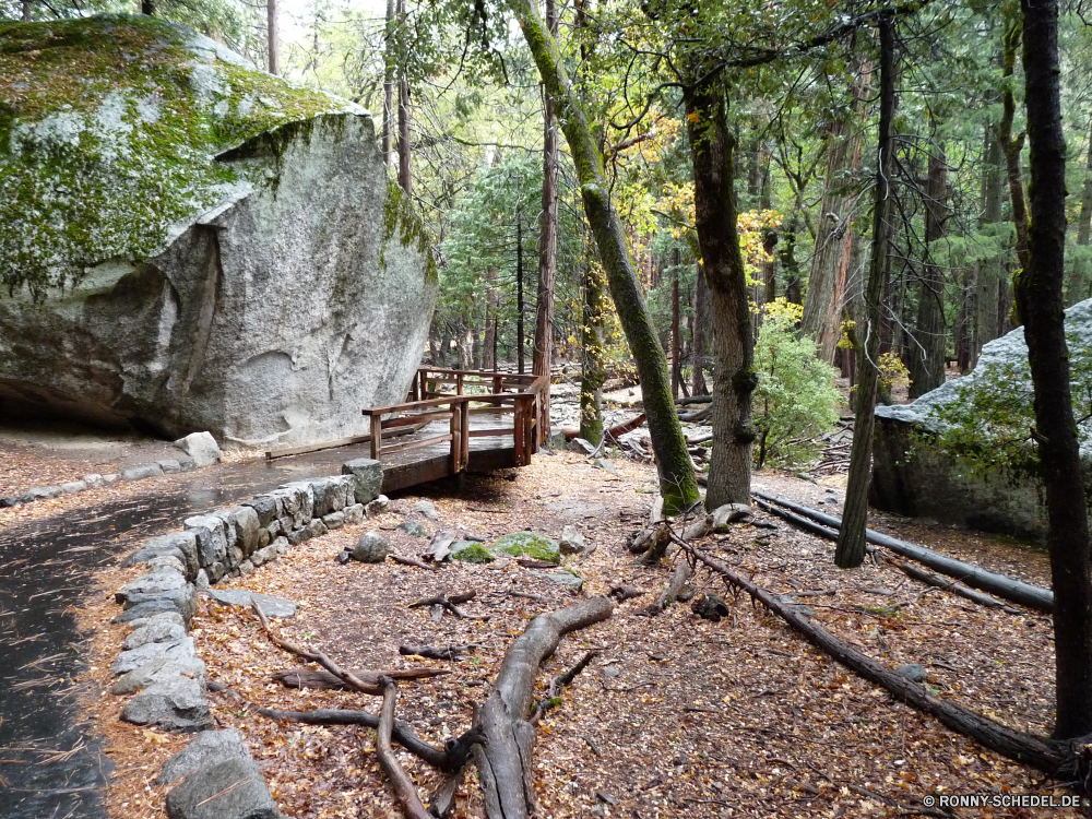 Yosemite Nationalpark Baum Wald woody plant Landschaft Bäume vascular plant Park Belaubung Hölzer im freien Umgebung Pfad Herbst Blätter Szenerie Pflanze Blatt fallen Holz natürliche Entwicklung des ländlichen Reisen Birke Fluss Wandern Straße landschaftlich Saison Sommer im freien Berg Gras Frühling Fels Wasser friedliche Stein Landschaft Wanderweg Wildnis Wild Branch Stream Szene sonnig üppige Sonnenlicht Fuß gelb Garten ruhige Wanderung Dschungel Kofferraum Zweige Farben southern beech zu Fuß Land Sonne Berge Frieden Moos bunte Golden Mauer Farbe Tourismus Land Wanderweg Spur Wasserfall Jahreszeiten Zaun Licht Pflanzen alt Himmel aus Holz Steinmauer durch Art und Weise Orange Kiefer Braun Flora Tag frisch Bewuchs Busch Abenteuer gelassene Urlaub Ökologie am Morgen hell Bereich Ahorn tree forest woody plant landscape trees vascular plant park foliage woods outdoor environment path autumn leaves scenery plant leaf fall wood natural rural travel birch river hiking road scenic season summer outdoors mountain grass spring rock water peaceful stone countryside trail wilderness wild branch stream scene sunny lush sunlight walking yellow garden tranquil hike jungle trunk branches colors southern beech walk country sun mountains peace moss colorful golden wall color tourism land footpath lane waterfall seasons fence light plants old sky wooden stone wall through way orange pine brown flora day fresh vegetation bush adventure serene vacation ecology morning bright area maple