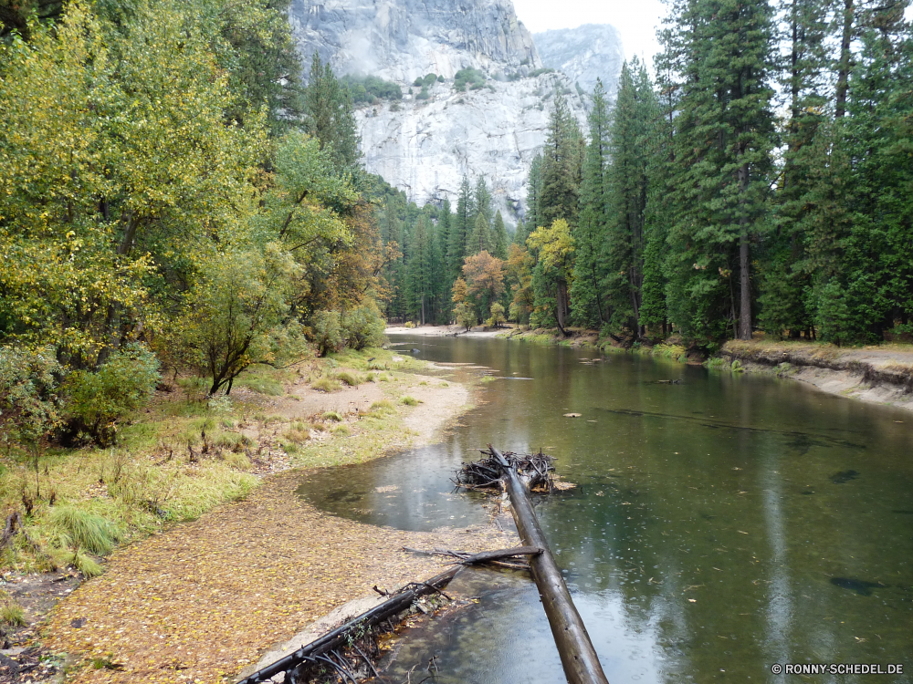 Yosemite Nationalpark Kanal Körper des Wassers Fluss Wasser Wald Landschaft Baum See Bäume Sumpf Land Stream Park Dam Sommer Reflexion Gras Feuchtgebiet Reisen landschaftlich ruhige im freien Berge Teich Barrier Himmel Berg im freien Umgebung natürliche fallen Szenerie Pflanze Entwicklung des ländlichen Wildnis Herbst Obstruktion Frühling Tourismus Ruhe Hölzer Brücke Fels Belaubung friedliche Wild Wolken Holz Land Landschaft Struktur ruhig Felsen Szene Stein Moos Ufer England idyllische fließende Tag Saison Blatt Urlaub Creek Garten Wiese Flüsse Wasserfall am See gelassene Reinigen Strömung nationalen Sonne Sonnenlicht bunte felsigen Landschaften Entspannung entspannende Kiefer Farbe frisch Erholung nass channel body of water river water forest landscape tree lake trees swamp land stream park dam summer reflection grass wetland travel scenic tranquil outdoors mountains pond barrier sky mountain outdoor environment natural fall scenery plant rural wilderness autumn obstruction spring tourism calm woods bridge rock foliage peaceful wild clouds wood country countryside structure quiet rocks scene stone moss shore england idyllic flowing day season leaf vacation creek garden meadow rivers waterfall lakeside serene clean flow national sun sunlight colorful rocky scenics relaxation relaxing pine color fresh recreation wet