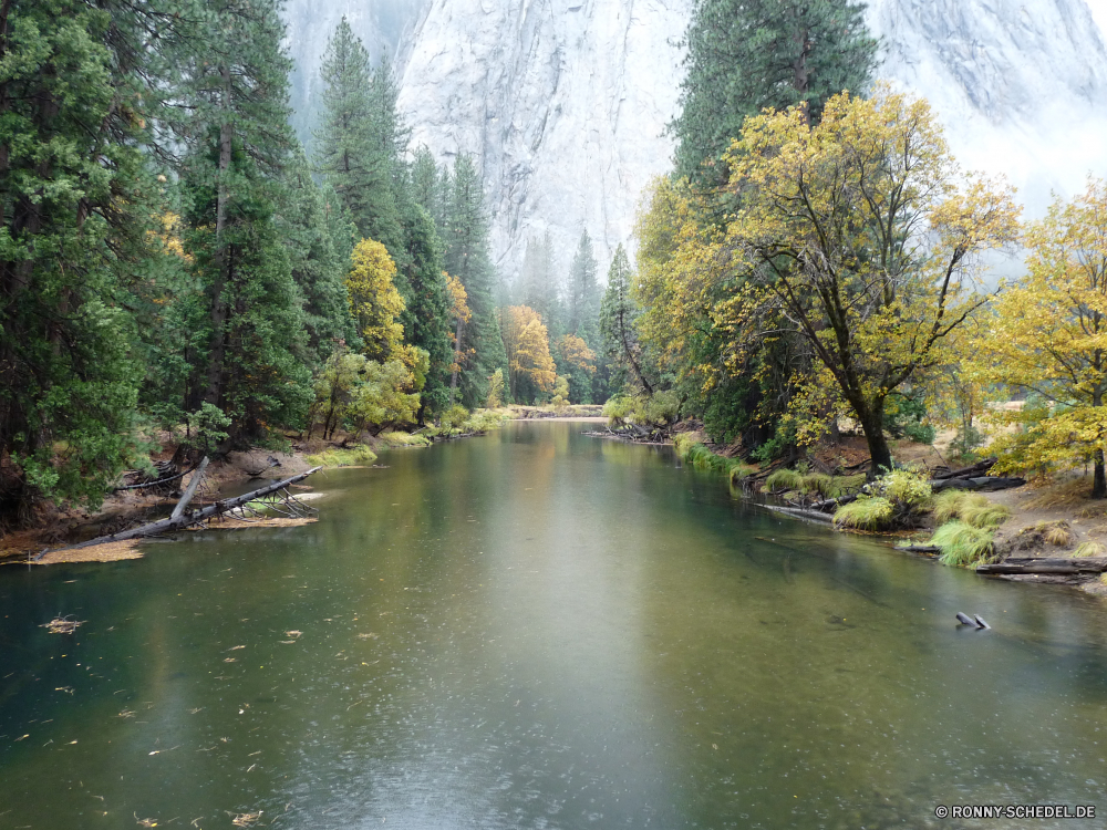 Yosemite Nationalpark Kanal Körper des Wassers Fluss Wald Landschaft Wasser Baum See Bäume Himmel Gras Park Sommer Reflexion Teich landschaftlich Szenerie Entwicklung des ländlichen Herbst Land Wolken im freien Reisen Holz natürliche Umgebung im freien fallen Szene Ufer Sonne Saison Land ruhige Berg Frühling Hölzer klar Landschaft Stream Feld am See Tourismus Ruhe sonnig Wolke Brücke Blatt Berge Belaubung Pflanze Sumpf friedliche Tag bunte Fels Sonnenlicht Stein Sonnenuntergang Blätter Wildnis Reinigen gelb Wiese woody plant Farbe idyllische Entspannung Kanal Erholung Feuchtgebiet Licht üppige ruhig Landschaften England gelassene Felsen Orange Sonnenaufgang Tal Freizeit Frieden Weide frisch Stille Bereich Urlaub frische Luft Bank channel body of water river forest landscape water tree lake trees sky grass park summer reflection pond scenic scenery rural autumn land clouds outdoor travel wood natural environment outdoors fall scene shore sun season country tranquil mountain spring woods clear countryside stream field lakeside tourism calm sunny cloud bridge leaf mountains foliage plant swamp peaceful day colorful rock sunlight stone sunset leaves wilderness clean yellow meadow woody plant color idyllic relaxation canal recreation wetland light lush quiet scenics england serene rocks orange sunrise valley leisure peace willow fresh silence area vacations freshness bank