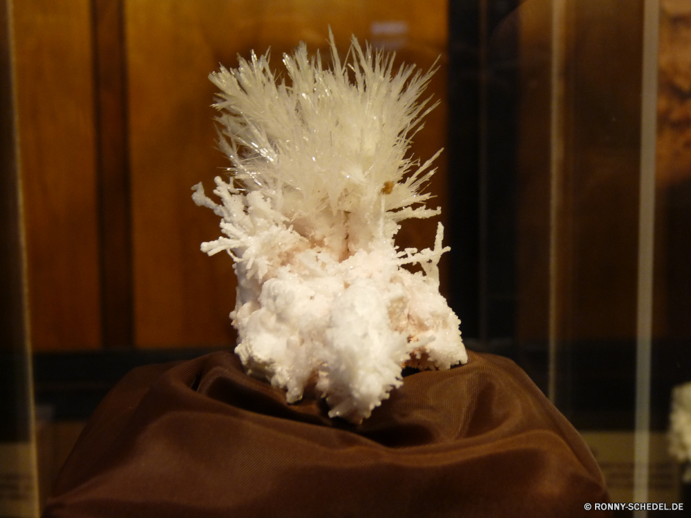 Jewel Cave National Monument Federboa Schal Kleidungsstück Pinsel Blume Pflanze shaving brush Schließen Kleidung schwarz Löwenzahn Sommer closeup Feier Himmel natürliche flauschige Licht Blumen Reis Dekoration Flora Kaktus Detail Farbe Bespannung Urlaub glücklich Blumenstrauß Essen Konsumgüter feiern Samen Saison Lächeln traditionelle Nacht Zerbrechlichkeit Porträt Botanik Pelz Freude Blumen blühen Strauch hell Tag Glück Vase Geschenk Floral Festival Korn Spaß Vorbau Person gelb vascular plant Schnurrbart Auge Gesicht Frühling Wachstum saisonale feather boa scarf garment brush flower plant shaving brush close clothing black dandelion summer closeup celebration sky natural fluffy light flowers rice decoration flora cactus detail color covering holiday happy bouquet food consumer goods celebrate seed season smile traditional night fragility portrait botany fur joy blossom shrub bright day happiness vase gift floral festival grain fun stem person yellow vascular plant mustache eye face spring growth seasonal