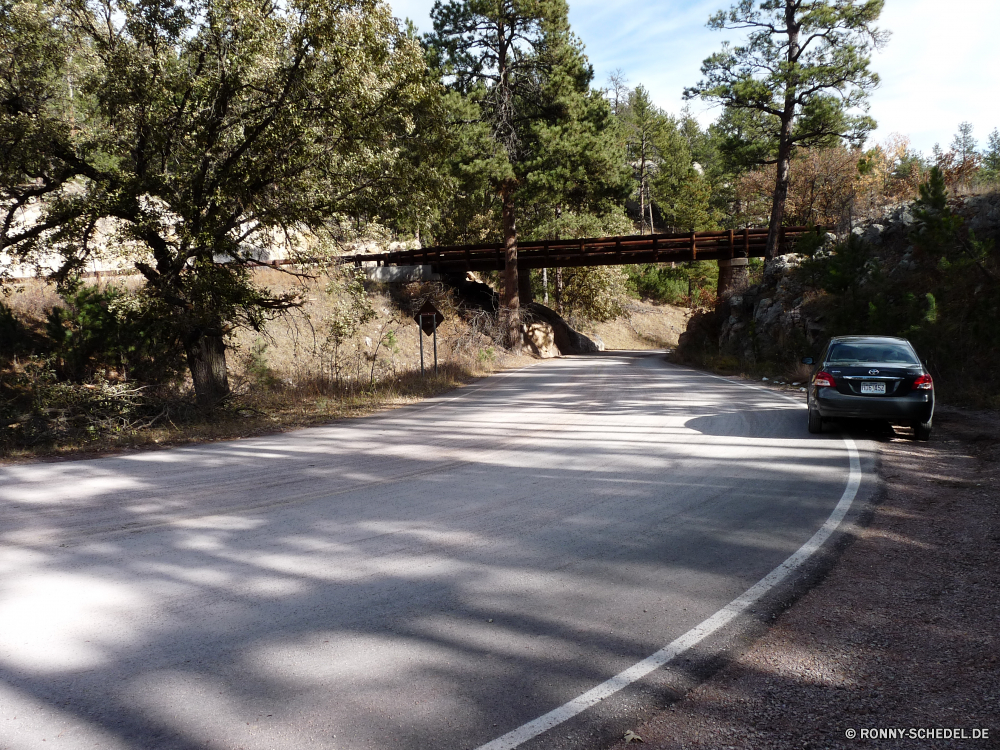 Wind Cave National Park Biegung Straße Autobahn Landschaft Asphalt Reisen Himmel Entwicklung des ländlichen Laufwerk Land Transport Reise Strecke Bäume landschaftlich fahren leere Landschaft Wald Baum Linie Straße Reise Horizont Berg Autobahn Sommer Auto Perspektive Geschwindigkeit Verkehr Wolken Verkehr Spur Szene Richtung im freien Ziel Gras Szenerie Auto Art und Weise Verschieben Berge Asphalt Wolke Bewegung im freien Schnellstraße Kurve Park Fahrzeug Urlaub sonnig gerade Umgebung Land Feld Pflaster Pfad schnell lange außerhalb Tag Tourismus Fahrbahn voran Hügel Auto niemand Hügel Wüste Freiheit Linien Öffnen Speedway Kiefer Biegen Sie durch Felder Wandern Reling Bewegung bend road highway landscape asphalt travel sky rural drive country transportation journey route trees scenic driving empty countryside forest tree line street trip horizon mountain freeway summer car perspective speed transport clouds traffic lane scene direction outdoors destination grass scenery auto way moving mountains tarmac cloud motion outdoor expressway curve park vehicle vacation sunny straight environment land field pavement path fast long outside day tourism roadway ahead hills automobile nobody hill desert freedom lines open speedway pine turn through fields hiking railing movement