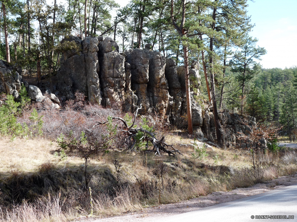 Wind Cave National Park Baum Wald woody plant Bäume Landschaft vascular plant Kiefer Park Pflanze Wildnis Wasser Hölzer Fluss Reisen Umgebung im freien Belaubung Herbst natürliche im freien Szenerie southern beech landschaftlich Szene Berg Holz Sommer Blätter Branch fallen Berge Gras Fels See Saison Stein Himmel Blatt nationalen üppige Sonnenlicht Tanne Entwicklung des ländlichen Kofferraum Land friedliche ruhige Bereich Sonne Landschaft nass Wandern Frühling Waldland Gelände Farben felsigen sonnig Pfad Felsen Tourismus Neu Moos Eiche Wanderweg Zweige Bewuchs frisch Regen Umwelt- alt Frieden Flora Rinde Wachstum bunte Wanderweg Wild Knoll Stream horizontale Urlaub Ökologie Insel Reflexion gelb niemand Garten tree forest woody plant trees landscape vascular plant pine park plant wilderness water woods river travel environment outdoors foliage autumn natural outdoor scenery southern beech scenic scene mountain wood summer leaves branch fall mountains grass rock lake season stone sky leaf national lush sunlight fir rural trunk land peaceful tranquil area sun countryside wet hiking spring woodland terrain colors rocky sunny path rocks tourism new moss oak trail branches vegetation fresh rain environmental old peace flora bark growth colorful footpath wild knoll stream horizontal vacation ecology island reflection yellow nobody garden