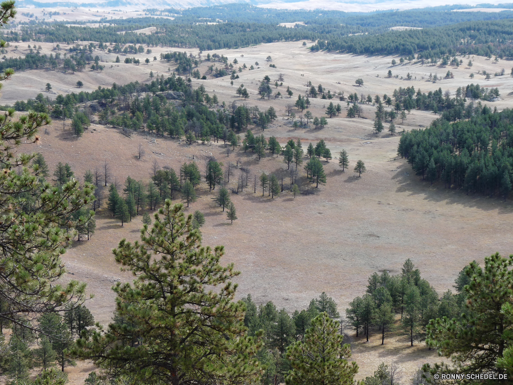 Wind Cave National Park Landschaft Berg Wildnis Berge Baum Himmel Bereich Reisen Park Wald Hochland Fels Fluss Tal nationalen Hügel Bäume landschaftlich Wasser Sommer Tourismus im freien Spitze Szenerie Hügel woody plant Steigung Wolken Gras im freien Panorama Urlaub Wolke Aufstieg Szene Schlucht Wüste Umgebung Strauch felsigen Herbst Felsen sonnig vascular plant Tag Schnee Stein natürliche geologische formation Yucca Farbe ruhige Wandern Wild Alp Ziel See friedliche Kiefer Frühling Busch Grat Pflanze natürliche Höhe Straße Land Entwicklung des ländlichen bunte hoch Geologie Grand in der Nähe Bereich Abenteuer Stream Feld Nach oben Belaubung Schlucht Insel Ruhe Wetter Landschaft Horizont Land Saison landscape mountain wilderness mountains tree sky range travel park forest highland rock river valley national hill trees scenic water summer tourism outdoors peak scenery hills woody plant slope clouds grass outdoor panorama vacation cloud ascent scene canyon desert environment shrub rocky autumn rocks sunny vascular plant day snow stone natural geological formation yucca color tranquil hiking wild alp destination lake peaceful pine spring bush ridge plant natural elevation road land rural colorful high geology grand near area adventure stream field top foliage ravine island calm weather countryside horizon country season