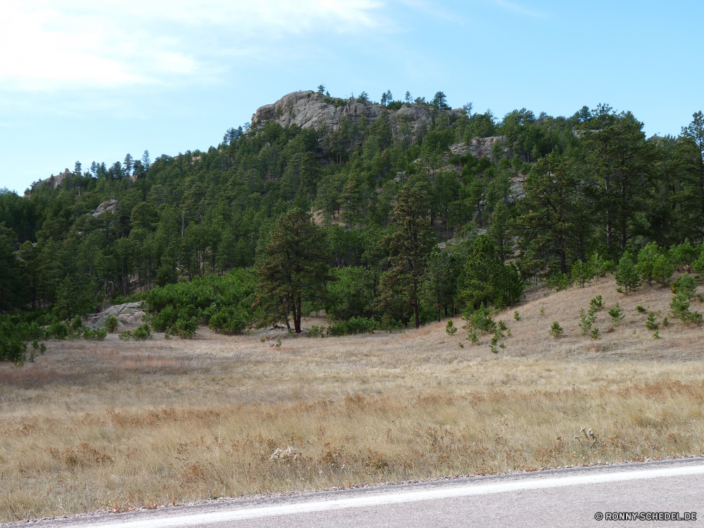 Wind Cave National Park Baum Landschaft Bereich Himmel Berg Gras Hochland Berge Reisen Park Wald Wildnis Hügel Aufstieg Sommer Land woody plant Entwicklung des ländlichen Fels landschaftlich nationalen Straße Steigung Wüste Pflanze Knoll Szenerie im freien Landschaft Wolken vascular plant Bäume Land Fluss Pflanzen sonnig natürliche Feld Tal im freien Wild Sonne Wasser Horizont Wiese Hügel Urlaub Felsen Tourismus Spitze Wolke Frühling Sand Hügel Busch bewölkt Saison Umgebung Biegung Landwirtschaft felsigen Wandern Tag Panorama Stein Strand friedliche Küste Belaubung Ufer Bauernhof Meer Herbst Blätter tree landscape range sky mountain grass highland mountains travel park forest wilderness hill ascent summer country woody plant rural rock scenic national road slope desert plant knoll scenery outdoors countryside clouds vascular plant trees land river plants sunny natural field valley outdoor wild sun water horizon meadow hills vacation rocks tourism peak cloud spring sand mound bush cloudy season environment bend agriculture rocky hiking day panorama stone beach peaceful coast foliage shore farm sea autumn leaves