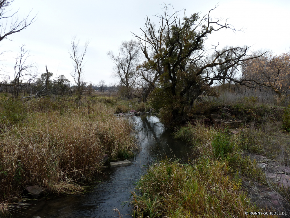 Pipestone National Monument Baum Wald Landschaft Fluss Wasser See Himmel Bäume Gras Land Entwicklung des ländlichen woody plant Sumpf Wildnis Pflanze landschaftlich vascular plant Park Herbst Sommer Reflexion Umgebung Szenerie Saison Teich Feuchtgebiet im freien Landschaft Frühling Feld im freien Reisen Wolke Wolken natürliche Szene Hölzer Land Holz ruhige Blatt Kanal Sonne fallen Wiese Berg friedliche Wild Berge sonnig Belaubung ruhig Farbe Branch Körper des Wassers Busch bunte Gelände Kiefer gelb Blätter Stream idyllische nationalen Sumpf Flora Urlaub Bauernhof Reed bewölkt Ruhe Wetter Tourismus am Morgen Sonnenlicht üppige Tag England niemand Kraut Frieden Horizont Küste Licht klar Wanderweg Tal Zweige Strauch Bereich Ufer Pfad Pflanzen Sonnenuntergang Landwirtschaft tree forest landscape river water lake sky trees grass land rural woody plant swamp wilderness plant scenic vascular plant park autumn summer reflection environment scenery season pond wetland outdoors countryside spring field outdoor travel cloud clouds natural scene woods country wood tranquil leaf channel sun fall meadow mountain peaceful wild mountains sunny foliage quiet color branch body of water bush colorful terrain pine yellow leaves stream idyllic national marsh flora vacation farm reed cloudy calm weather tourism morning sunlight lush day england nobody herb peace horizon coast light clear trail valley branches shrub area shore path plants sunset agriculture