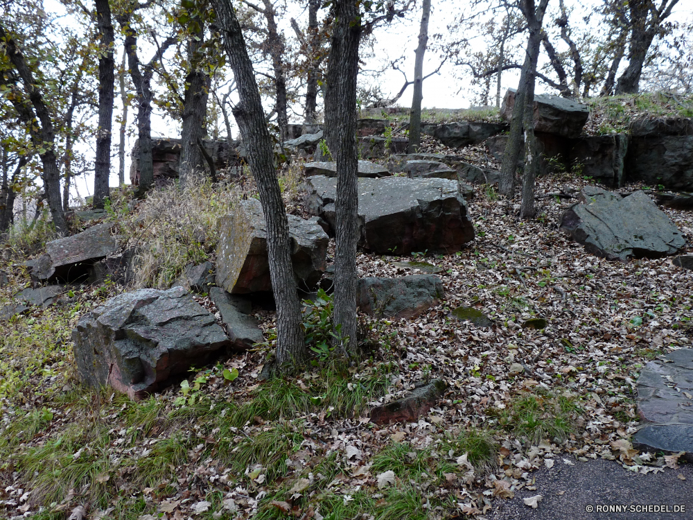 Pipestone National Monument Baum Wald Landschaft Bäume Gedenkstätte Megalith im freien Park Struktur Holz Stein Umgebung Gras natürliche Mauer Szenerie Belaubung Hölzer Fluss Berg Zaun Herbst Steinmauer fallen Pfad Saison landschaftlich im freien Blatt Blätter Wasser woody plant Pflanze Reisen Sommer Wandern Straße Stream Barrier Fels friedliche ruhige Branch Entwicklung des ländlichen Wildnis Kiefer Grabstein Frieden Frühling Wasserfall Garten vascular plant Land Sonne alt Friedhof Wanderweg Sonnenlicht Wanderweg Himmel Berge Landschaft Grab Wanderung Drehsperre üppige Bewuchs Szene Fuß sonnig gelassene Tag Obstruktion Moos saisonale Kofferraum Wild Licht ruhig Flora bunte Creek Spur Farbe Dschungel durch aufrecht außerhalb zu Fuß Steine Felsen Braun See Land Farben aus Holz Boden tree forest landscape trees memorial megalith outdoor park structure wood stone environment grass natural wall scenery foliage woods river mountain fence autumn stone wall fall path season scenic outdoors leaf leaves water woody plant plant travel summer hiking road stream barrier rock peaceful tranquil branch rural wilderness pine gravestone peace spring waterfall garden vascular plant country sun old cemetery footpath sunlight trail sky mountains countryside grave hike stile lush vegetation scene walking sunny serene day obstruction moss seasonal trunk wild light quiet flora colorful creek lane color jungle through upright outside walk stones rocks brown lake land colors wooden ground