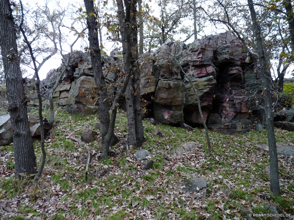 Pipestone National Monument Baum Wald woody plant Bäume vascular plant Landschaft Park Birke Hölzer Herbst Pflanze Blätter im freien fallen Belaubung Holz Branch natürliche Gras Blatt Bäumchen im freien Umgebung Pfad Entwicklung des ländlichen Steinmauer Saison Zaun Reisen landschaftlich Wildnis Garten friedliche Zweige Szenerie Kiefer Fluss Frühling Szene Wanderweg Sommer Sonnenlicht Kofferraum üppige Wandern Farben Sonne Straße Barrier Bewuchs gelb Himmel Flora bunte Orange Berg Neu Winter ruhige Waldland Jahreszeiten Stein Land Busch Struktur Fuß sonnig Golden Wasser Schnee alt Schatten Farbe Wanderweg Licht Ahorn kalt Landschaft nationalen Wachstum saisonale Tag Spur Obstruktion Eiche Berge Braun Tourist hell Rinde Bereich tree forest woody plant trees vascular plant landscape park birch woods autumn plant leaves outdoors fall foliage wood branch natural grass leaf sapling outdoor environment path rural stone wall season fence travel scenic wilderness garden peaceful branches scenery pine river spring scene trail summer sunlight trunk lush hiking colors sun road barrier vegetation yellow sky flora colorful orange mountain new winter tranquil woodland seasons stone country bush structure walking sunny golden water snow old shadow color footpath light maple cold countryside national growth seasonal day lane obstruction oak mountains brown tourist bright bark area