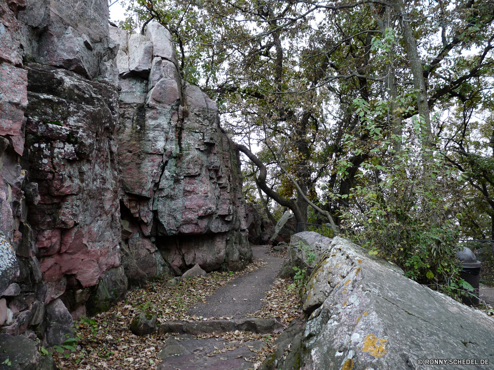 Pipestone National Monument Baum Wald woody plant Landschaft Stein Park Berg vascular plant Bäume im freien Steinmauer Fels Gras Reisen im freien Fluss Pflanze natürliche alt Herbst Zaun Szenerie Belaubung Umgebung Wasser Sommer Blatt Holz fallen Pfad Megalith Blätter Hölzer Stream landschaftlich Barrier Gedenkstätte Saison Struktur Straße Mauer Frühling Entwicklung des ländlichen Branch Wasserfall Himmel Berge Sonne friedliche Moos Wandern Felsen Szene Garten Frieden Grab Tourismus Sonnenlicht Wildnis Zweige Landschaft bunte Obstruktion Steigung Creek Eiche durch Land Wild sonnig See ruhige Urlaub Aufstieg üppige Bewuchs zu Fuß Kiefer außerhalb Steine southern beech Braun Licht Farben Kofferraum Fuß gelassene Hügel Pflanzen gelb Flora nass tree forest woody plant landscape stone park mountain vascular plant trees outdoor stone wall rock grass travel outdoors river plant natural old autumn fence scenery foliage environment water summer leaf wood fall path megalith leaves woods stream scenic barrier memorial season structure road wall spring rural branch waterfall sky mountains sun peaceful moss hiking rocks scene garden peace grave tourism sunlight wilderness branches countryside colorful obstruction slope creek oak through country wild sunny lake tranquil vacation ascent lush vegetation walk pine outside stones southern beech brown light colors trunk walking serene hill plants yellow flora wet