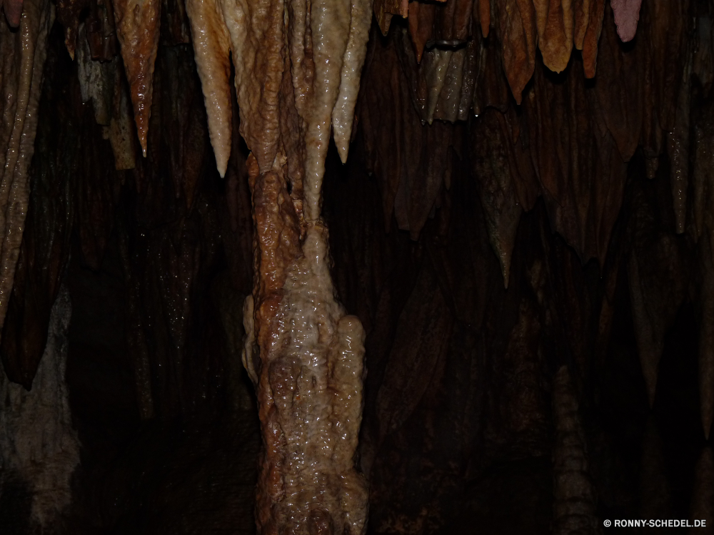 Meramec Caverns Höhle geologische formation Baum Park Holz Wald natürliche Landschaft Fels Reisen alt Tourismus Geologie nationalen Rinde Mauer Stein Muster dunkel Textur Kofferraum Bäume Pflanze Antike Licht Braun Sandstein Berg Innenseite Kalkstein Schlucht Wasser Detail Tropfsteinhöhle Aushöhlung im freien Tourist Steine Felsen Farbe Erde Höhle u-Bahn Dunkelheit Bildung nass Sommer Umgebung Hölzer im freien Ökologie Frühling geologische Material geheimnisvolle Oberfläche landschaftlich Sand Erhaltung Branch Stalagmit Formationen Ökosystem ungewöhnliche Attraktion tief Rau Calcit Sonnenlicht Mineralien versteckt Ressourcen Eiche Holz texturierte Blätter ökologische Tour Mysterium Kiefer Blatt Orange Berge Belaubung Sonne Wachstum ganz unter Mining Klippe unter einzigartige Boden Tropfen Garten Schließen closeup Urlaub Wahrzeichen Szenerie aus Holz Himmel cave geological formation tree park wood forest natural landscape rock travel old tourism geology national bark wall stone pattern dark texture trunk trees plant ancient light brown sandstone mountain inside limestone canyon water detail stalactite erosion outdoors tourist stones rocks color earth cavern underground darkness formation wet summer environment woods outdoor ecology spring geologic material mysterious surface scenic sand conservation branch stalagmite formations ecosystem unusual attraction deep rough calcite sunlight minerals hidden resources oak timber textured leaves ecological tour mystery pine leaf orange mountains foliage sun growth quite beneath mining cliff under unique ground drops garden close closeup vacation landmark scenery wooden sky