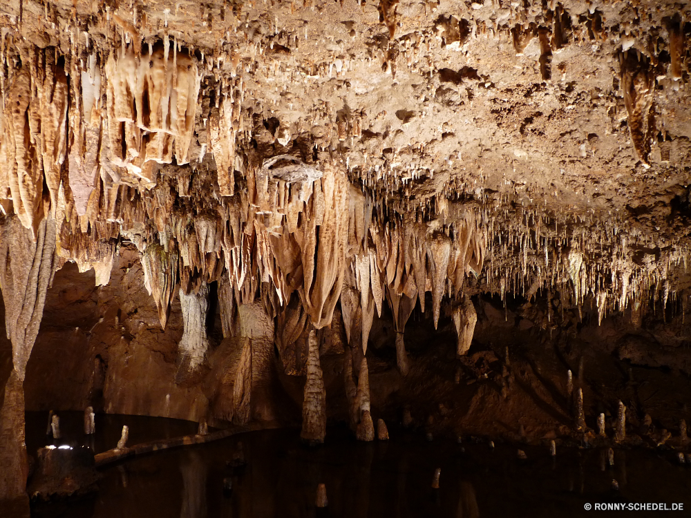 Meramec Caverns Höhle geologische formation nationalen Fels Park Landschaft Schlucht Aushöhlung Geologie Reisen natürliche Baum Tourismus Stein Formationen Muster Sandstein Textur Kalkstein landschaftlich Licht Mauer Felsen Wüste dunkel Tropfsteinhöhle Antike Steine u-Bahn Tourist Berg alt Berge Höhle geologische Orange Innenseite Erde Dunkelheit Wahrzeichen Sand Szenerie ungewöhnliche Holz Attraktion Urlaub einzigartige Braun Ökologie Rau Stalagmit Hoodoos Bildung Material im freien Pflanze tief bunte Amphitheater nass geheimnisvolle Gelände im freien Wald Himmel Szene Wildnis Formen Wasser Wirkung schwarz Calcit ganz Mineralien Nationalpark Aussicht Struktur Mysterium Extreme Kiefer Boden Erhaltung Winter Tropfen Ziel Sonne Land Oberfläche Wachstum Hoodoo unter Mining texturierte Ökosystem versteckt Ressourcen Südwesten Beliebte ökologische Farbe Tour Sommer unter Grunge zeigen Feld Jahrgang Hintergründe Detail cave geological formation national rock park landscape canyon erosion geology travel natural tree tourism stone formations pattern sandstone texture limestone scenic light wall rocks desert dark stalactite ancient stones underground tourist mountain old mountains cavern geologic orange inside earth darkness landmark sand scenery unusual wood attraction vacation unique brown ecology rough stalagmite hoodoos formation material outdoor plant deep colorful amphitheater wet mysterious terrain outdoors forest sky scene wilderness shapes water effect black calcite quite minerals national park vista structure mystery extreme pine ground conservation winter drops destination sun land surface growth hoodoo beneath mining textured ecosystem hidden resources southwest popular ecological color tour summer under grunge point field vintage backgrounds detail