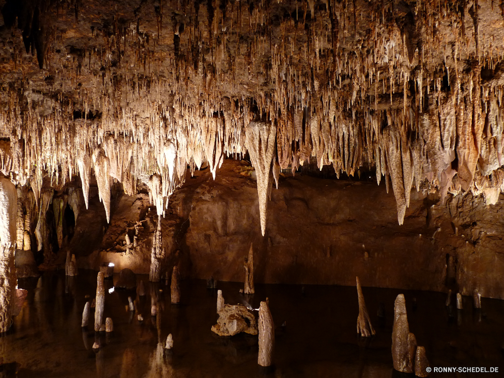 Meramec Caverns Höhle geologische formation Fels Landschaft Park Baum Tourismus Reisen nationalen Stein natürliche Geologie Schlucht Licht Antike Aushöhlung dunkel Heu Wasser Kalkstein Tropfsteinhöhle landschaftlich Mauer Berg Höhle geologische alt Muster Formationen u-Bahn Erde Innenseite Dunkelheit Futter Steine Wald Szenerie nass Szene Tourist Orange im freien Stalagmit Textur Sandstein Bäume tief Attraktion Felsen Ökologie Calcit fallen Feed Holz Wahrzeichen ungewöhnliche geheimnisvolle Tour im freien Erhaltung Braun Grunge ganz Mineralien Fluss Sand Aussicht Herbst Mysterium Himmel Wüste bunte Berge Jahrgang Farbe unter Mining Ökosystem versteckt Ressourcen Bildung ökologische unter Wildnis Boden Tropfen historischen Wirkung Urlaub Sonnenlicht gelb Farben hell Nationalpark Architektur Antik Gelände Wandern Extreme See texturierte cave geological formation rock landscape park tree tourism travel national stone natural geology canyon light ancient erosion dark hay water limestone stalactite scenic wall mountain cavern geologic old pattern formations underground earth inside darkness fodder stones forest scenery wet scene tourist orange outdoor stalagmite texture sandstone trees deep attraction rocks ecology calcite fall feed wood landmark unusual mysterious tour outdoors conservation brown grunge quite minerals river sand vista autumn mystery sky desert colorful mountains vintage color beneath mining ecosystem hidden resources formation ecological under wilderness ground drops historic effect vacation sunlight yellow colors bright national park architecture antique terrain hiking extreme lake textured