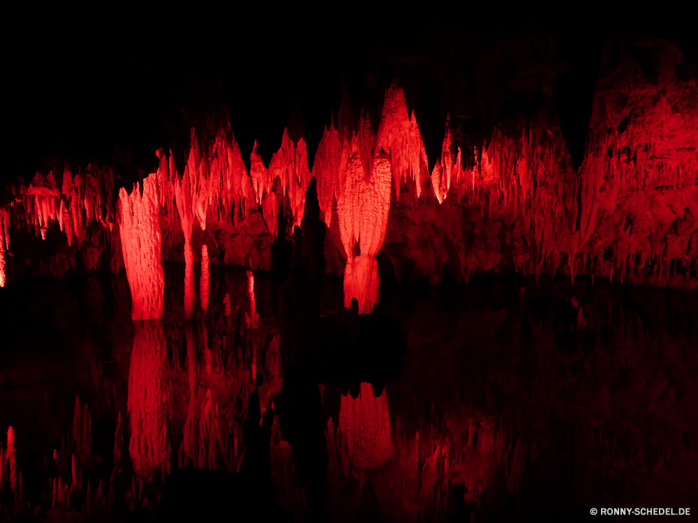 Meramec Caverns Sumach Strauch woody plant vascular plant Licht Farbe Pflanze Landschaft Hintergrund Kunst schwarz Textur bunte Muster Digital Baum Gestaltung Grafik Park Orange Tapete dunkel Reed hell natürliche Bewegung Wirkung Himmel Theater Vorhang Rauch Höhle künstlerische gelb Fraktal See Feld Bäume Nacht Hintergründe Form Kraut Welle Linie Berge generiert Energie Raum Vorhang im freien lebendige Kurve Wald Frühling Flamme Glühen Fantasie Linien saisonale Render pug Sommer glühend Kontur Tourismus nationalen Detail Wasser Feier kreative landschaftlich texturierte Blätter Tulpen Blatt sonnig Partei Blume Reflexion Feuer Strömung Bühne Windung Blumen blühen Beleuchtung Tulpe fallen Berg futuristische Flora Fluss Farben Entwicklung des ländlichen Reisen Saison sumac shrub woody plant vascular plant light color plant landscape backdrop art black texture colorful pattern digital tree design graphic park orange wallpaper dark reed bright natural motion effect sky theater curtain smoke cave artistic yellow fractal lake field trees night backgrounds shape herb wave line mountains generated energy space curtain outdoor vibrant curve forest spring flame glow fantasy lines seasonal render crowd summer glowing silhouette tourism national detail water celebration creative scenic textured leaves tulips leaf sunny party flower reflection fire flow stage swirl blossom lighting tulip fall mountain futuristic flora river colors rural travel season