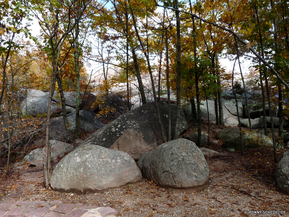 Elephant Rocks State Park Megalith Gedenkstätte Struktur Wald Baum Landschaft Stein Park Herbst fallen Fluss Bäume im freien Wasser im freien Szenerie landschaftlich natürliche Fels Umgebung Saison Reisen Entwicklung des ländlichen Blätter Blatt Hölzer Szene See friedliche Steine gelb Himmel Holz Orange Straße Sommer Stream Belaubung Gras Frieden Grabstein alt gelassene Ruhe Landschaft ruhige Land ruhig Felsen außerhalb Meer Wolken Garten Tourismus Pflanze Kofferraum Wanderweg bunte Steinmauer Strand Farbe Ökologie Branch am Morgen Flora Sonne Sonnenlicht Berg Farben Sand Frühling Wild Schaufel Zweige Entspannen Sie sich Zaun Ozean Braun Reflexion Küste Friedhof megalith memorial structure forest tree landscape stone park autumn fall river trees outdoor water outdoors scenery scenic natural rock environment season travel rural leaves leaf woods scene lake peaceful stones yellow sky wood orange road summer stream foliage grass peace gravestone old serene calm countryside tranquil country quiet rocks outside sea clouds garden tourism plant trunk trail colorful stone wall beach color ecology branch morning flora sun sunlight mountain colors sand spring wild shovel branches relax fence ocean brown reflection coast cemetery