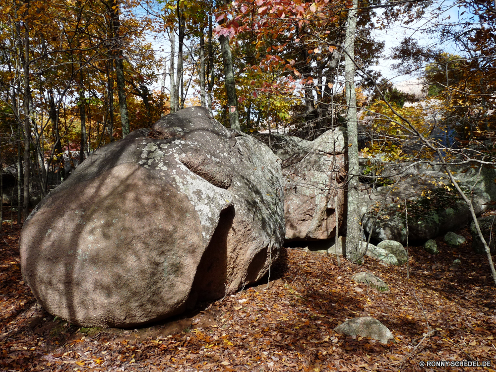 Elephant Rocks State Park Megalith Gedenkstätte Struktur Wald Baum Landschaft Bäume Park Herbst Hölzer Stein Reisen landschaftlich fallen im freien im freien Blätter Himmel Fels Umgebung Zweige natürliche Blatt Belaubung Szenerie Holz Saison Szene friedliche Gras Fluss Berg Entwicklung des ländlichen alt Land Branch Straße Wasser Felsen Landschaft Pflanze Kofferraum Wildnis gelb Pfad Tourismus Schnee Sonnenlicht Sonne Frühling bunte Sommer Rinde üppige Antike Golden außerhalb Winter Orange See Kiefer ruhige Schatten Licht Farben kalt Busch Steine Stream Braun Ökologie Tourist Wetter hell megalith memorial structure forest tree landscape trees park autumn woods stone travel scenic fall outdoors outdoor leaves sky rock environment branches natural leaf foliage scenery wood season scene peaceful grass river mountain rural old country branch road water rocks countryside plant trunk wilderness yellow path tourism snow sunlight sun spring colorful summer bark lush ancient golden outside winter orange lake pine tranquil shadow light colors cold bush stones stream brown ecology tourist weather bright