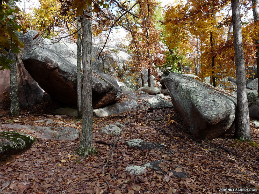 Elephant Rocks State Park Megalith Gedenkstätte Struktur Baum Wald Park Landschaft Bäume Herbst Stein fallen Holz im freien Saison Blätter im freien natürliche Reisen Fels Umgebung Fluss landschaftlich Grab Kofferraum Hölzer Wasser Belaubung Szene Szenerie Eidechse Himmel Gras Berg gelb Tourismus Blatt Entwicklung des ländlichen Felsen Sonne Pflanze saisonale Braun friedliche Garten bunte Branch hell Sand Orange Land Stream Frühling Tag Ahorn See Landschaft Tourist Straße Schatten Wildnis Farben Zweige Strand Winter Entspannen Sie sich Sommer Rinde Flora Sonnenlicht Farbe Antike Wasserfall sonnig kalt Golden alt Boden Pfad Rest Kiefer Urlaub Insel Neu nationalen megalith memorial structure tree forest park landscape trees autumn stone fall wood outdoor season leaves outdoors natural travel rock environment river scenic grave trunk woods water foliage scene scenery lizard sky grass mountain yellow tourism leaf rural rocks sun plant seasonal brown peaceful garden colorful branch bright sand orange country stream spring day maple lake countryside tourist road shadow wilderness colors branches beach winter relax summer bark flora sunlight color ancient waterfall sunny cold golden old ground path rest pine vacation island new national