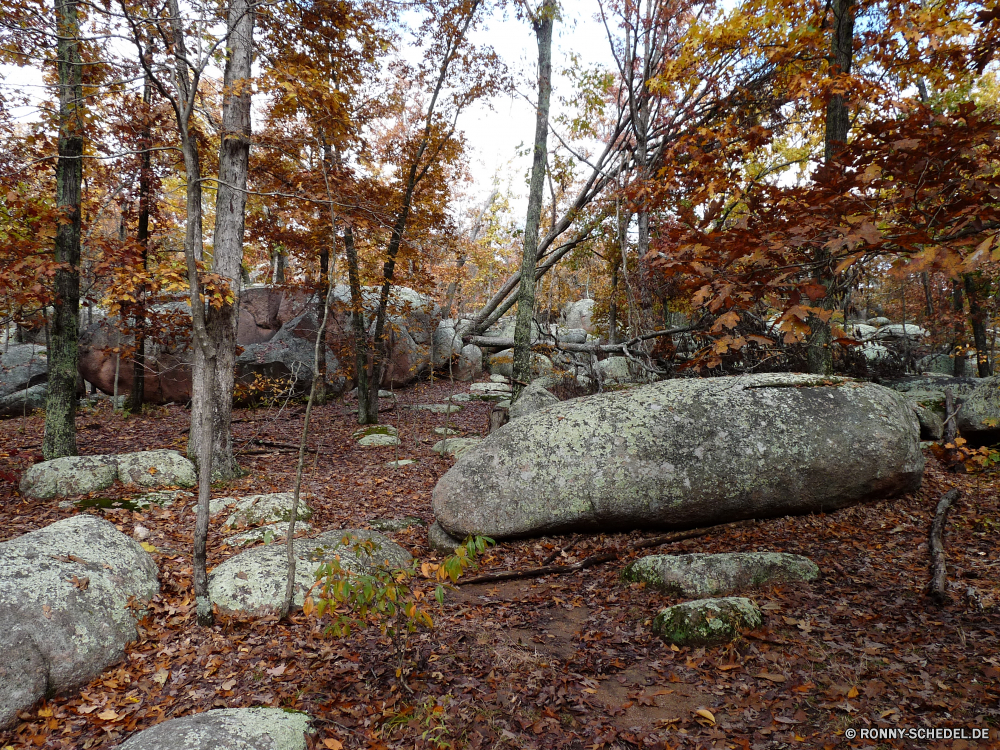 Elephant Rocks State Park Megalith Gedenkstätte Struktur Wald Baum Landschaft Bäume Park Hölzer Herbst fallen im freien Blätter Saison Wasser im freien natürliche Straße landschaftlich See Blatt Pfad Holz Umgebung Szene friedliche Szenerie Schnee Pflanze Entwicklung des ländlichen Himmel Belaubung Branch Frühling Aal Reisen Kofferraum Eis Winter Jahreszeiten gelb Gras Sommer bunte Fluss Wanderweg kalt sonnig Sonnenlicht Spur Wildnis Sonne saisonale Wandern gefroren Stein ruhige Wanderweg Land Wetter Zweige Frost Garten Farbe Friedhof Licht Berg Farben Tag Bereich Wanderung Busch Wolken Fuß Birke Reflexion Landschaft hell megalith memorial structure forest tree landscape trees park woods autumn fall outdoors leaves season water outdoor natural road scenic lake leaf path wood environment scene peaceful scenery snow plant rural sky foliage branch spring eel travel trunk ice winter seasons yellow grass summer colorful river trail cold sunny sunlight lane wilderness sun seasonal hiking frozen stone tranquil footpath country weather branches frost garden color cemetery light mountain colors day area hike bush clouds walking birch reflection countryside bright