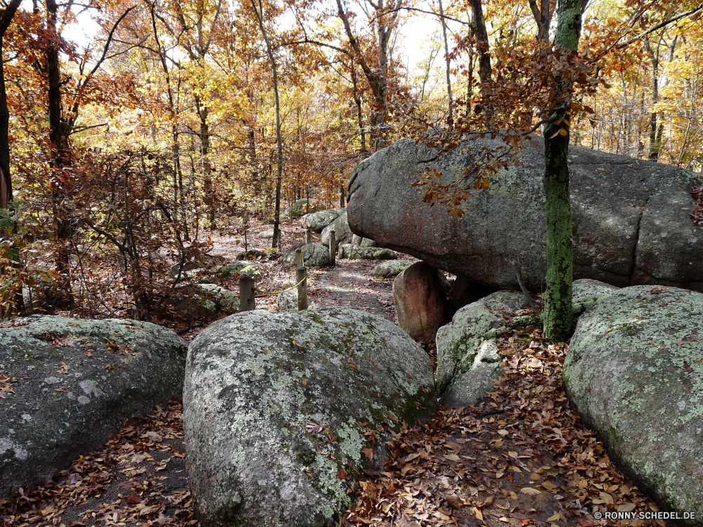 Elephant Rocks State Park Megalith Gedenkstätte Struktur Wald Landschaft Baum Stein Park Bäume Herbst im freien im freien fallen Fels natürliche Steinmauer Blätter Szenerie Saison Belaubung Umgebung Zaun Gras Blatt Grab Reisen Fluss bunte landschaftlich Tourismus alt gelb Antike Orange Barrier Garten Hölzer Holz Berg friedliche Landschaft Pfad Szene Branch Sonnenlicht Himmel Entwicklung des ländlichen Braun Pflanze Grabstein Wasser Kofferraum Wandern Sommer Architektur Frieden Farbe ruhige Religion Ruine Ruine Farben Zweige Steine gelassene Frühling Sonne Wanderweg saisonale Friedhof außerhalb Stream Obstruktion See Wahrzeichen Land Waldland Ahorn Jahreszeiten Wanderweg Golden Wildnis Felsen Website Stadt Berge Tourist Straße Flora Schatten Geschichte hell Gebäude megalith memorial structure forest landscape tree stone park trees autumn outdoors outdoor fall rock natural stone wall leaves scenery season foliage environment fence grass leaf grave travel river colorful scenic tourism old yellow ancient orange barrier garden woods wood mountain peaceful countryside path scene branch sunlight sky rural brown plant gravestone water trunk hiking summer architecture peace color tranquil religion ruins ruin colors branches stones serene spring sun footpath seasonal cemetery outside stream obstruction lake landmark country woodland maple seasons trail golden wilderness rocks site city mountains tourist road flora shadow history bright building