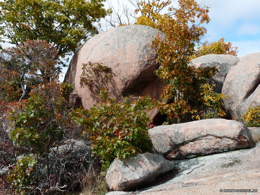 Elephant Rocks State Park Megalith Gedenkstätte Struktur Landschaft Stein Baum Wald Himmel Bäume Gras Grab Park alt Grabstein landschaftlich Friedhof Reisen fallen im freien Herbst Fels Antike Saison natürliche Wasser Fluss Szenerie Entwicklung des ländlichen Gebäude Schnee Landschaft Umgebung Sommer friedliche Winter Berg Hütte Tourismus Szene historischen Garten Frieden Wolken Knoll Geschichte Land im freien Ruine Hölzer Brücke Holz Architektur Feld See Branch Straße Tag gelb bunte Orange Stream Pfad Eis Ruhe Scheune Licht Farben Blätter Frühling Wild Wolke Golden Zweige außerhalb Kultur Pflanze historische Haus Stadt Obdach Wetter Blatt megalith memorial structure landscape stone tree forest sky trees grass grave park old gravestone scenic cemetery travel fall outdoor autumn rock ancient season natural water river scenery rural building snow countryside environment summer peaceful winter mountain hut tourism scene historic garden peace clouds knoll history country outdoors ruins woods bridge wood architecture field lake branch road day yellow colorful orange stream path ice calm barn light colors leaves spring wild cloud golden branches outside culture plant historical house city shelter weather leaf