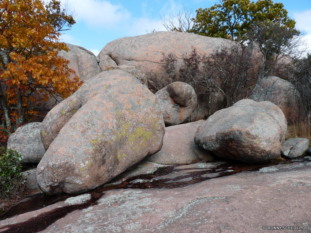 Elephant Rocks State Park Yam Fels Wurzelgemüse Essen Stein Gemüse Brot Steine Reisen Sand Meer Laib natürliche Baum Braun Strand Ozean Felsen Mahlzeit Süßkartoffel zu produzieren Weizen Bäckerei Wasser gesund alt frisch Küste Wildnis Frühstück Backen woody plant Tier Landschaft gebacken Korn Pflanze Abendessen Essen Erde Ernährung cereal Kochen vascular plant Mollusk Antike Küste Essen Fisch Wirbellose Himmel Wildtiere Wüste Wild ganz Tropischer Ernährung trocken Textur Tourismus Schale Gebäude Schildkröte Schildkröte Wald Roggen Architektur Mittagessen Statue Kultur Kiesel Bio Insel Park closeup Megalith Urlaub Fleisch Kunst Küche Teig Landwirtschaft yam rock root vegetable food stone vegetable bread stones travel sand sea loaf natural tree brown beach ocean rocks meal sweet potato produce wheat bakery water healthy old fresh coast wilderness breakfast bake woody plant animal landscape baked grain plant dinner eating earth diet cereal cooking vascular plant mollusk ancient coastline eat fish invertebrate sky wildlife desert wild whole tropical nutrition dry texture tourism shell building tortoise turtle forest rye architecture lunch statue culture pebble organic island park closeup megalith vacation meat art kitchen dough agriculture