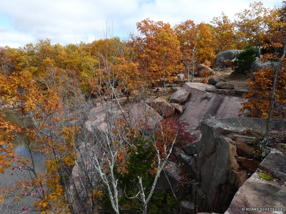 Elephant Rocks State Park Baum woody plant Herbst vascular plant Landschaft fallen Wald Bäume Park Blatt Saison Pflanze im freien Szenerie Blätter Berg landschaftlich gelb Hölzer Entwicklung des ländlichen Belaubung Himmel natürliche Fluss Branch Strauch Reisen Farbe bunte Holz im freien Szene Umgebung Orange Landschaft Gras Wasser Fels nationalen Land Berge See Bäumchen Garten Farben Straße Feld Sonnenlicht Pfad Tourismus ruhige Jahreszeiten Landschaften Wildnis Land Ahorn Flora Sommer Pappel Stein sonnig Golden außerhalb friedliche Waldland hell idyllische Frühling Kraut Wiese Sonne Zaun Wild gelassene Hügel Licht am Morgen Urlaub Bauernhof Landwirtschaft saisonale Wanderweg Zweige Wandern Tag Wolke Birke Horizont Sumach Schnee Ruhe Frieden tree woody plant autumn vascular plant landscape fall forest trees park leaf season plant outdoors scenery leaves mountain scenic yellow woods rural foliage sky natural river branch shrub travel color colorful wood outdoor scene environment orange countryside grass water rock national country mountains lake sapling garden colors road field sunlight path tourism tranquil seasons scenics wilderness land maple flora summer poplar stone sunny golden outside peaceful woodland bright idyllic spring herb meadow sun fence wild serene hill light morning vacation farm agriculture seasonal trail branches hiking day cloud birch horizon sumac snow calm peace