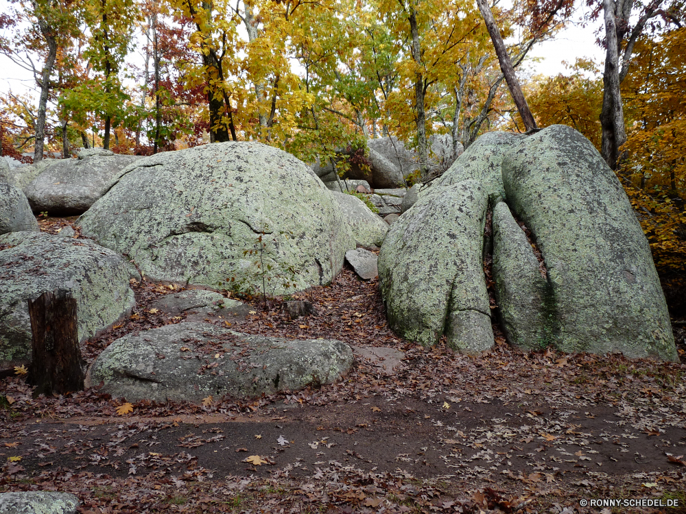 Elephant Rocks State Park Megalith Gedenkstätte Struktur Baum Stein Wald Landschaft Park Fels Herbst fallen Gras im freien Bäume Blätter Blatt Szenerie Straße Hölzer Himmel Umgebung alt Belaubung im freien Saison landschaftlich Garten Boden Pfad natürliche Steinmauer gelb friedliche Zaun Landschaft Holz Pflanze Steine Szene Antike Orange Entwicklung des ländlichen Kofferraum Branch Tourismus Wanderweg Zweige bunte Reisen Sommer Textur Grabstein Frieden Braun Friedhof Schatten Flora Fluss Wasser außerhalb Art und Weise Barrier Felsen Licht See Rau Geschichte Berg Farben megalith memorial structure tree stone forest landscape park rock autumn fall grass outdoors trees leaves leaf scenery road woods sky environment old foliage outdoor season scenic garden ground path natural stone wall yellow peaceful fence countryside wood plant stones scene ancient orange rural trunk branch tourism footpath branches colorful travel summer texture gravestone peace brown cemetery shadow flora river water outside way barrier rocks light lake rough history mountain colors