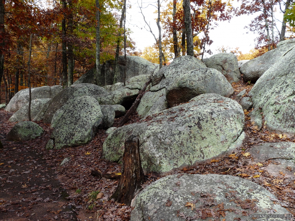 Elephant Rocks State Park Megalith Gedenkstätte Struktur Steinmauer Zaun Barrier Wald Landschaft Baum Bäume Obstruktion Herbst im freien fallen Stein Szenerie Park Fels Fluss Reisen Holz Blätter natürliche im freien Berg Himmel Entwicklung des ländlichen landschaftlich Blatt Saison alt Szene Hölzer Felsen Wasser Gras Branch Kofferraum friedliche Tourismus Umgebung Wandern Pfad Stream Antike Winter See Landschaft Ruine Wanderweg Zweige Steine bunte Belaubung Straße Wanderweg gelb Berge Schnee Farben Land Moos Ruine außerhalb Garten Frühling Architektur megalith memorial structure stone wall fence barrier forest landscape tree trees obstruction autumn outdoors fall stone scenery park rock river travel wood leaves natural outdoor mountain sky rural scenic leaf season old scene woods rocks water grass branch trunk peaceful tourism environment hiking path stream ancient winter lake countryside ruins trail branches stones colorful foliage road footpath yellow mountains snow colors country moss ruin outside garden spring architecture