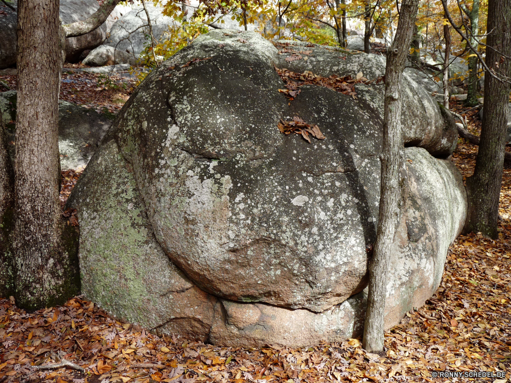 Elephant Rocks State Park Megalith Gedenkstätte Struktur Grabstein Stein Baum Feld Bauernhof Wald Heu Entwicklung des ländlichen Landschaft Landwirtschaft natürliche Ballen Landschaft im freien Weizen Sommer Pflanze Himmel Ballen Gras Golden Stroh Umgebung Land Wild Land Reisen Herbst im freien Fels Ernte Braun friedliche Holz Felsen Ernte Essen Wolke Wolken alt Park Gold Tier Wasser Bäume Rinde Runde Ackerland Tropischer Landbau Stapel Korn Belaubung Ökologie Grab Frieden Szenerie Wiese Schneiden Fluss Saison megalith memorial structure gravestone stone tree field farm forest hay rural landscape agriculture natural bales countryside outdoor wheat summer plant sky bale grass golden straw environment country wild land travel autumn outdoors rock crop brown peaceful wood rocks harvest food cloud clouds old park gold animal water trees bark round farmland tropical farming stack grain foliage ecology grave peace scenery meadow cut river season